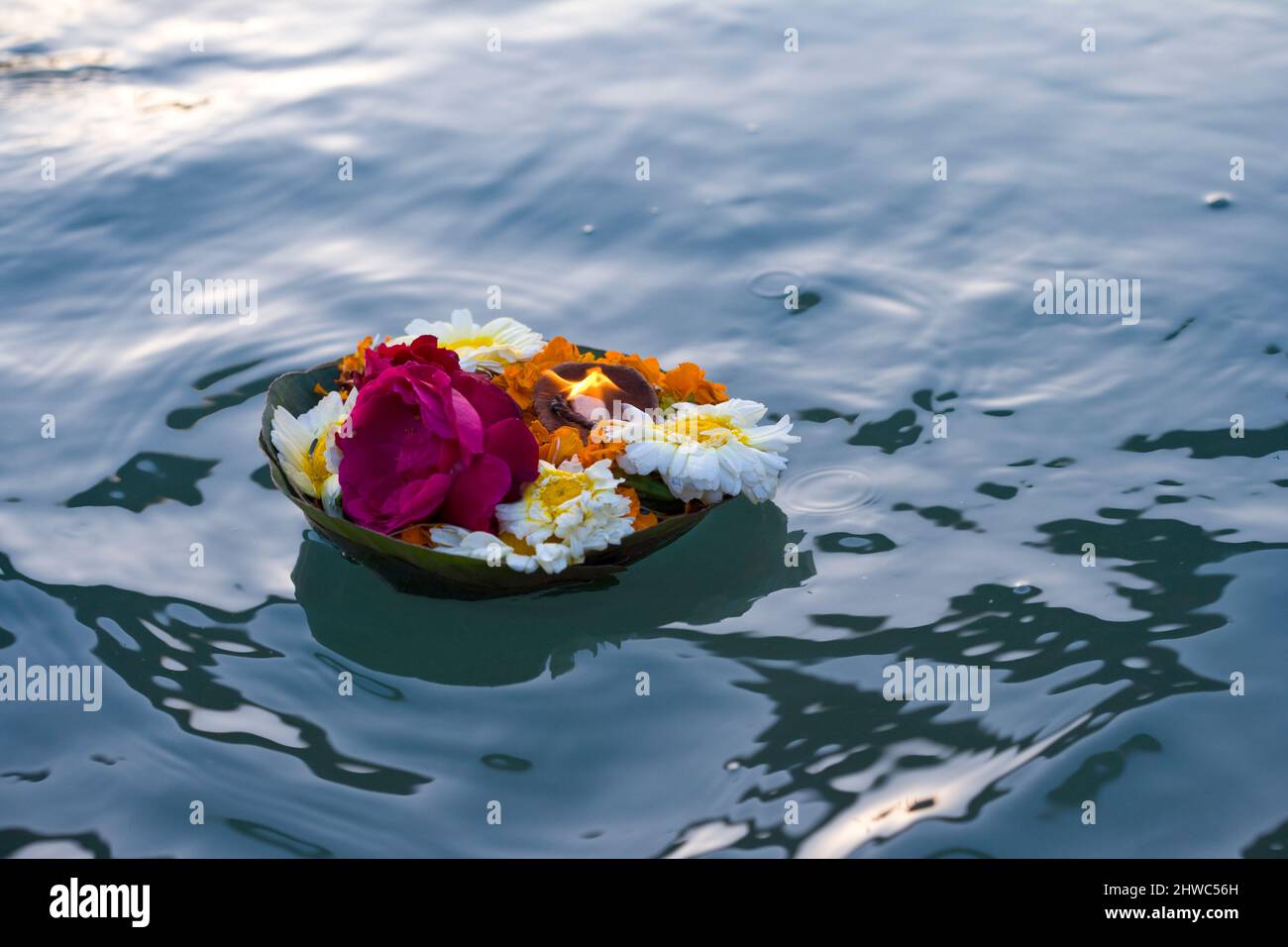 Indien, Puja, hinduistische Feste, Indisch, Blumen im Wasser, Tradition, Kulturreise Indien, Kultur, Reisen Indien, Hinduismus, Ganges, Hindi, Reisen, Diwali Stockfoto