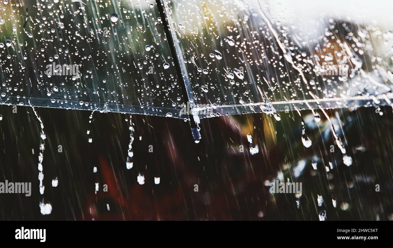 Kühle Duschen an einem erfrischenden Frühlingstag und klare und saubere Regentropfen, die auf einem transparenten Regenschirm hüpfen Stockfoto