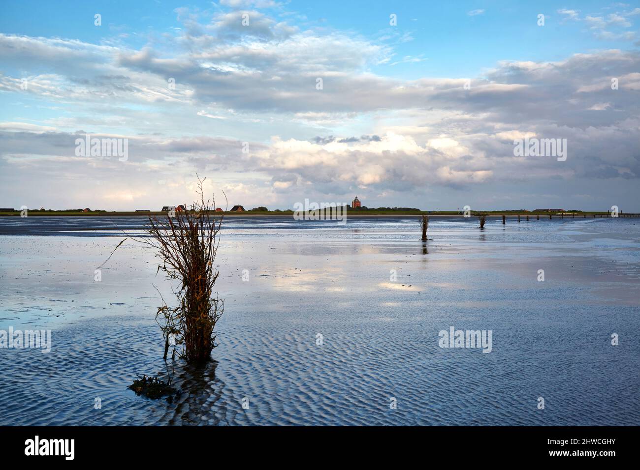 Elber Insel Mündung der elbe -Fotos und -Bildmaterial in hoher Auflösung – Alamy