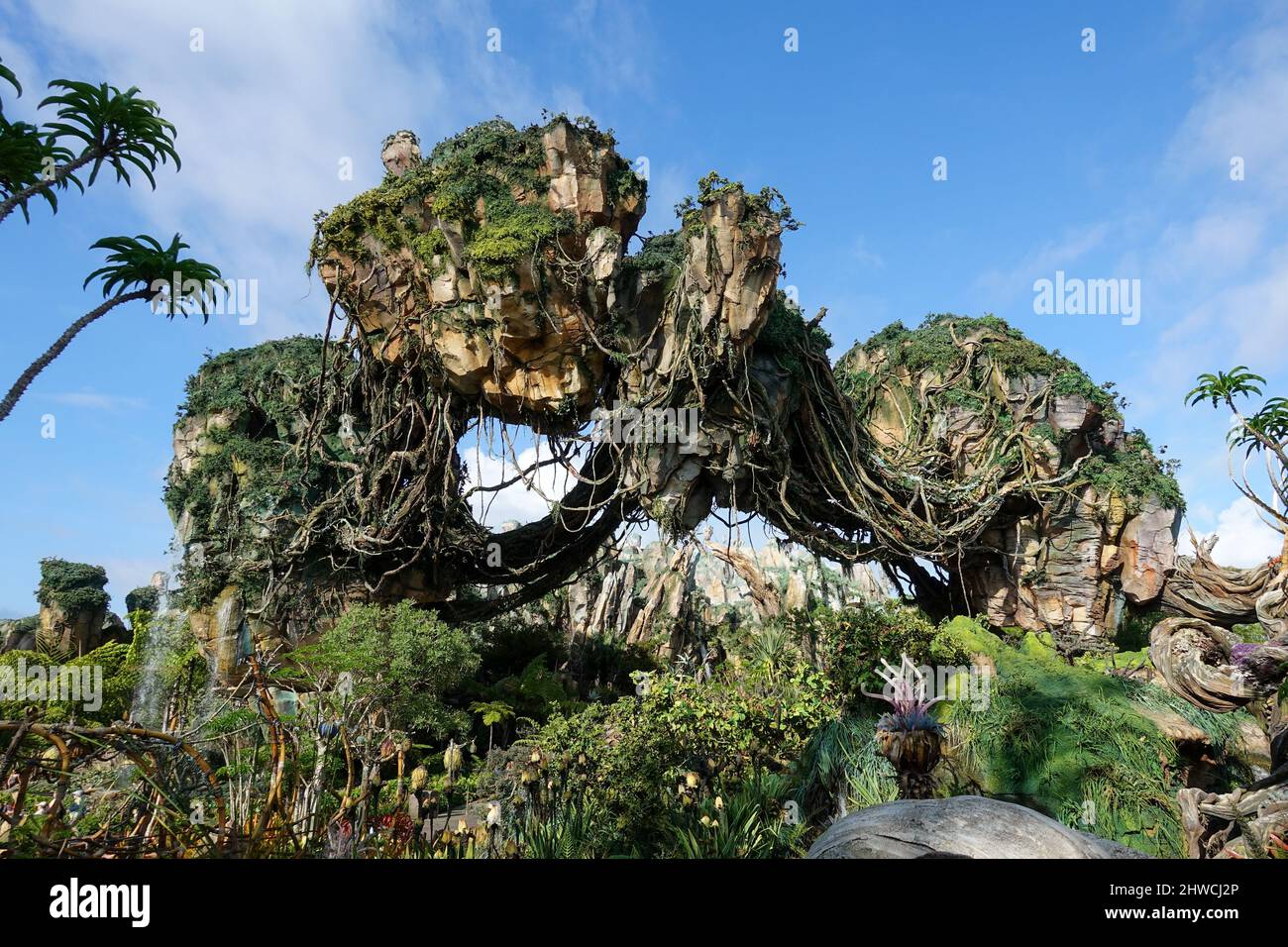 Schwimmende Berge in Pandora, Avatar, Animal Kingdom, Walt Disney World,  Orlando, Florida Stockfotografie - Alamy