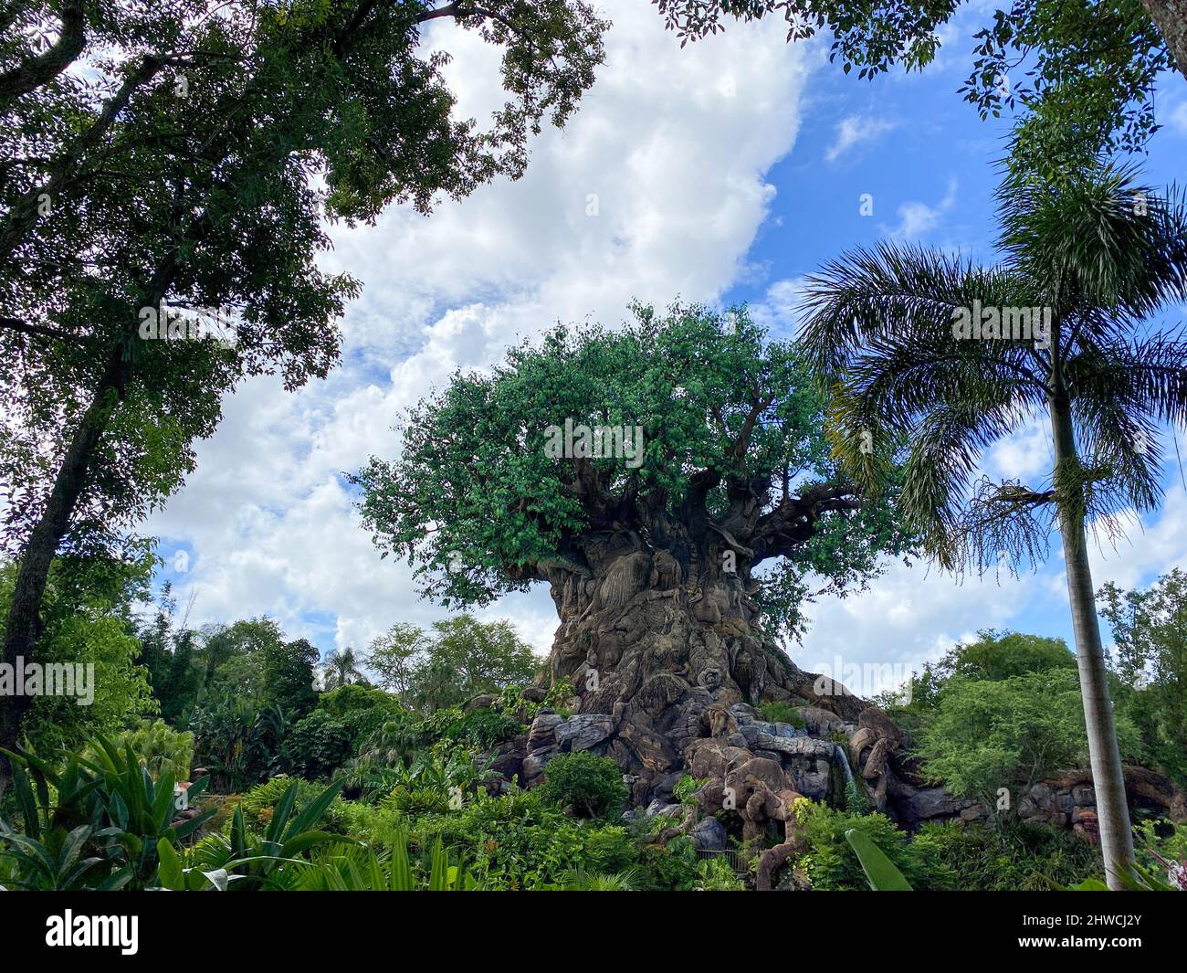 Orlando, FL USA - 18. Juli 2020: Der Baum des Lebens im Animal Kingdom in der Walt Disney World in Orlando, Florida. Stockfoto