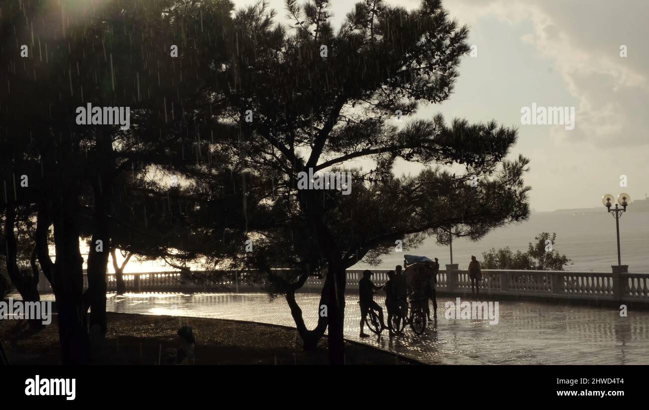 Schöne Böschung während des Sommerregens bei Sonnenuntergang. Menschen, die sich vor Regen verstecken, während sie in der Nähe eines großen Baumes auf bewölktem Himmel und Meeresgrund wandeln. Stockfoto