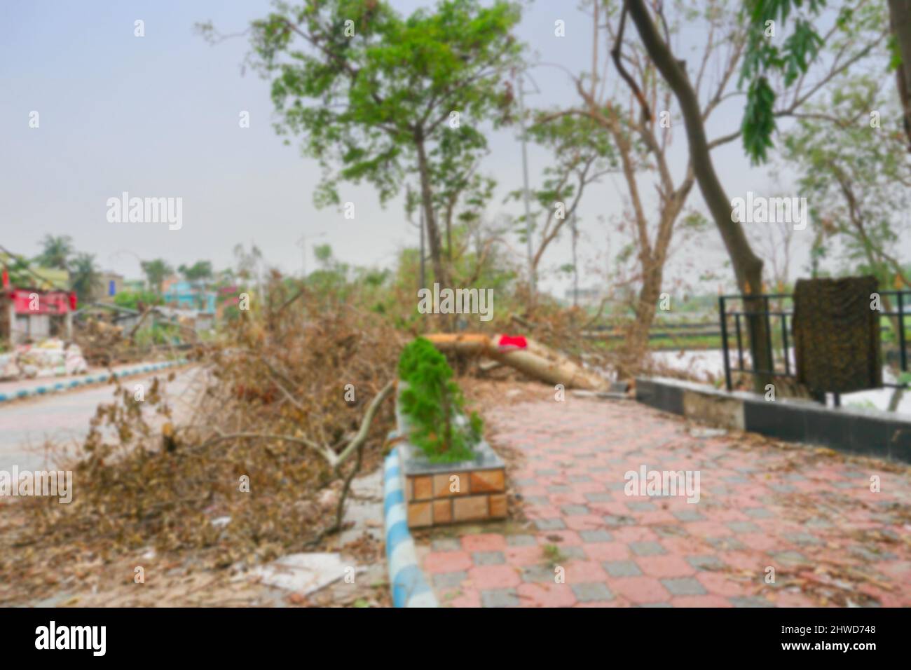 Verschwommenes Bild des Super-Wirbelsturms Amphan entwurzelten Baumes, der fiel und den Straßenbelag blockierte. Die Verwüstung hat dazu geführt, dass viele Bäume auf den Boden gefallen sind. Stockfoto