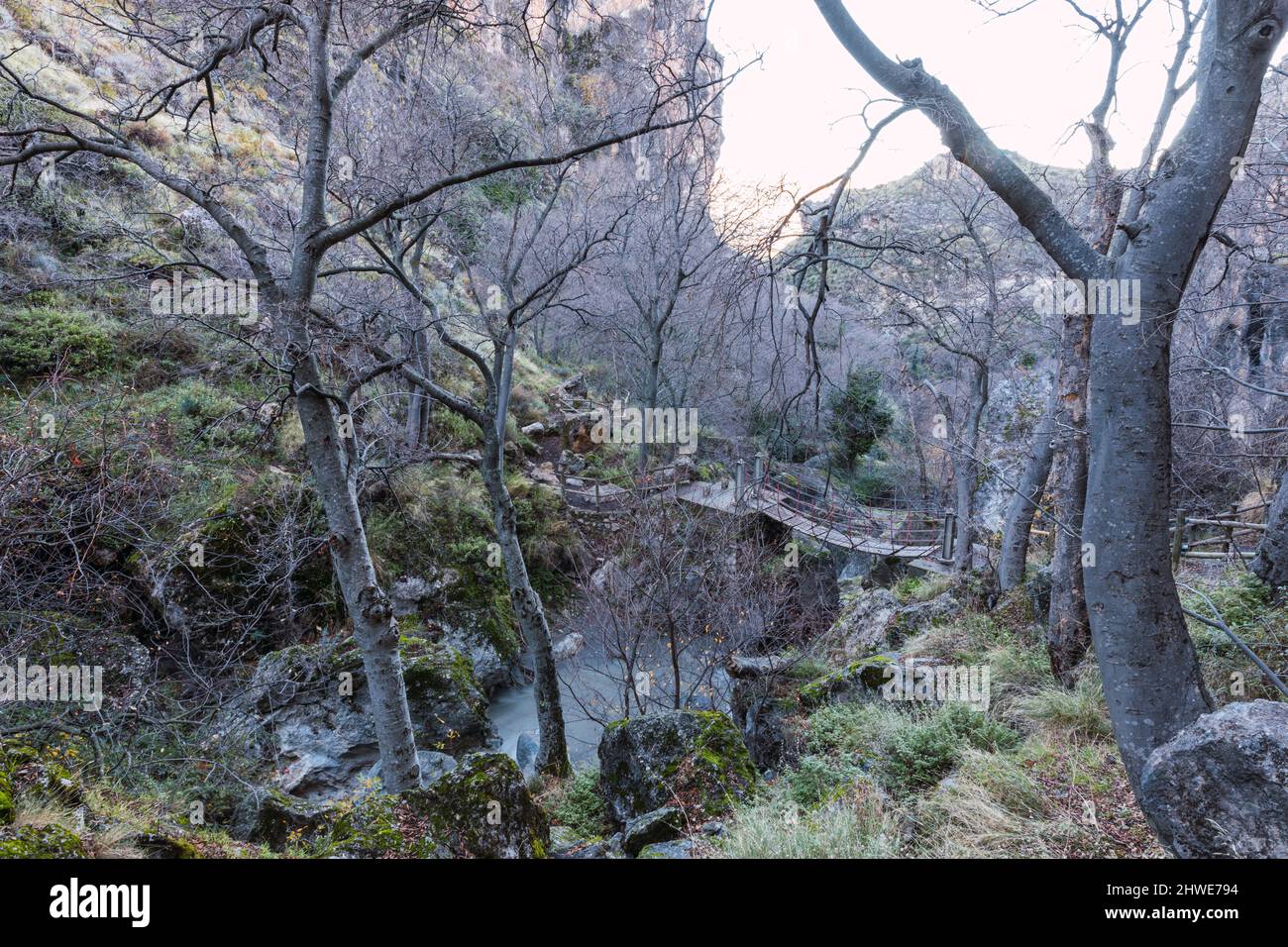 Bäume ohne Blätter auf der Route der Cahorros, Granada, Andalusien, Spanien - Sierra Nevada Stockfoto