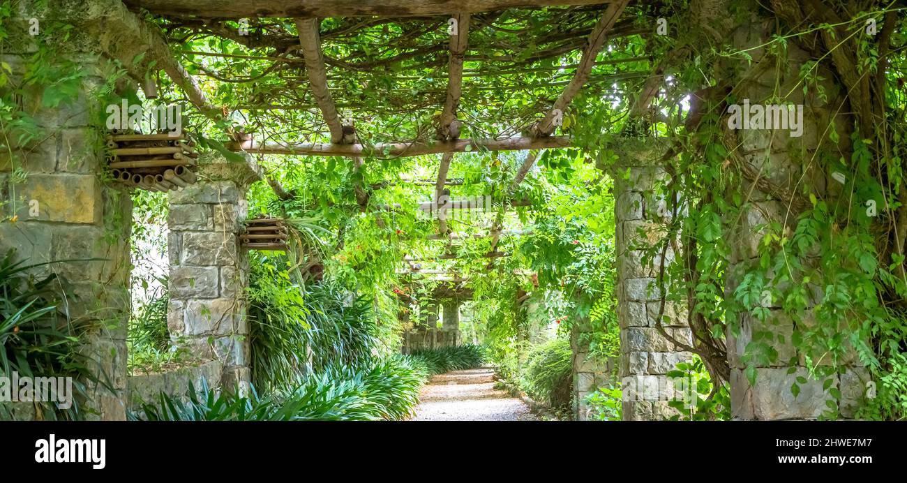 Garten mit Pergola Struktur mit hellen Farben während der Spätsommersaison. Diese Architektur und das Design wurden von der Natur inspiriert. Stockfoto