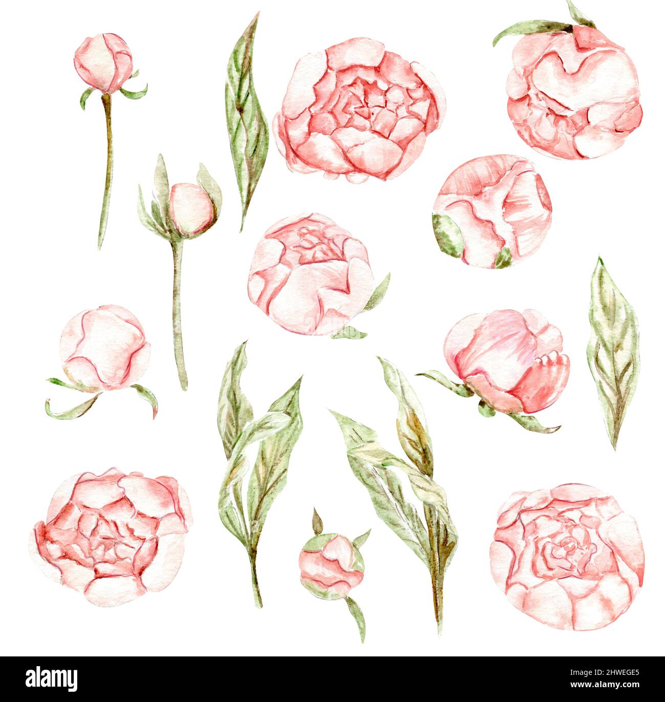 Aquarell-Rosen mit Herzen, Außenlampen, valentine Stockfoto