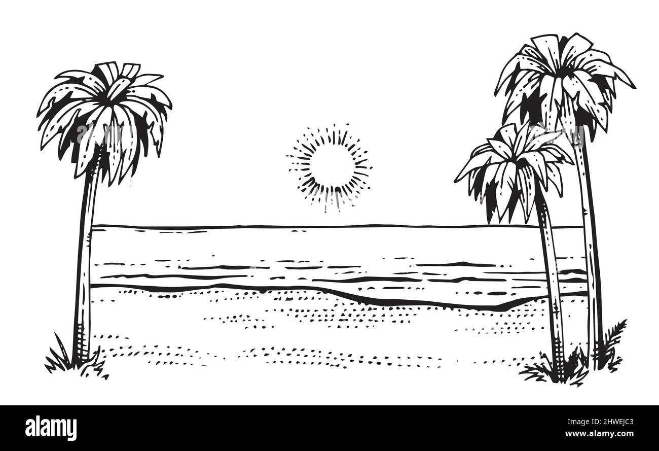 Strand in der Nähe des Meeres. Rahmen mit Handflächen an den Seiten. Handzeichnung Umriss. Sommerlandschaft. Skizze exotischer Pflanzen. Isoliert auf weißem Hintergrund Stock Vektor