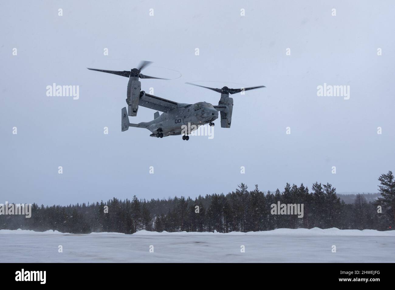 US-Marineinfanteristen mit 2. Marine Aircraft Wing, II Marine Expeditionary Force starten in einem MV-22B Osprey über der norwegischen Armeebasis Setermoen, Norwegen, 2. März 2022. Übung Cold Response ’22 ist eine alle zwei Jahre stattfindende Übung in ganz Norwegen, an der jeder seiner Militärdienste sowie 26 weitere mit der Organisation des Nordatlantikvertrags (NATO) verbündete Nationen und regionale Partner teilnehmen. (USA Marine Corps Foto von Lance CPL. Elias E. Pimentel III) Stockfoto