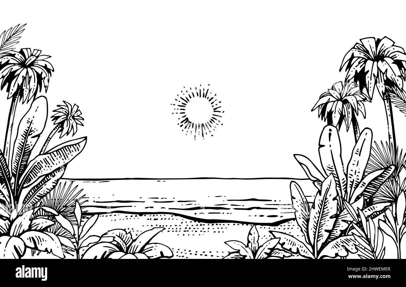 Tropisches Gras und Pflanzen Dickicht am Strand in der Nähe des Meeres. Rahmen mit Handflächen an den Seiten. Handzeichnung Umriss. Sommerlandschaft. Skizze von Exotic Stock Vektor