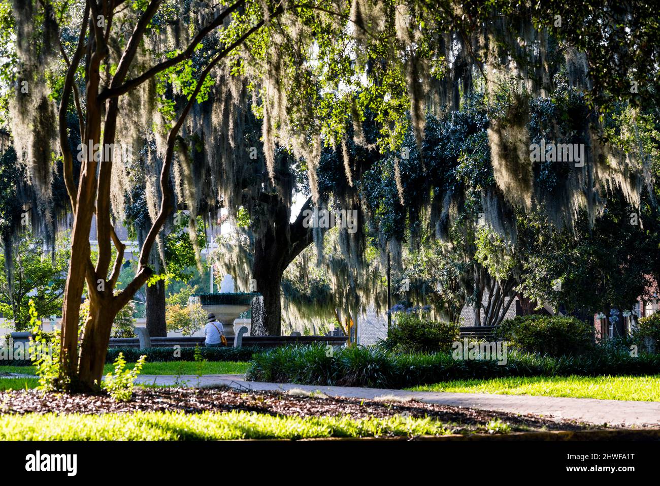 Deutscher Gedenkbrunnen umgeben von Eichen in Savannah, Georgia. Stockfoto