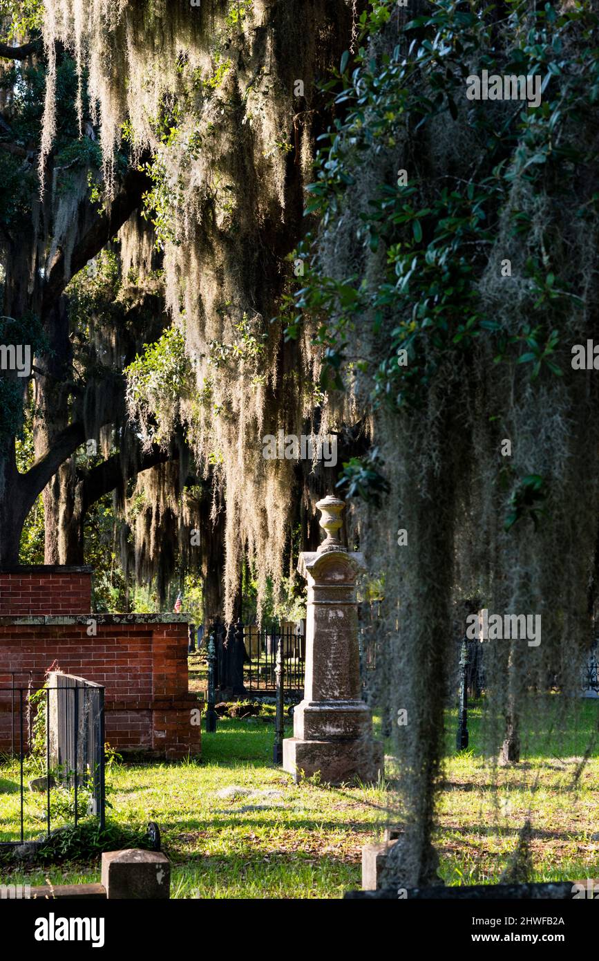 Laurel Grove North Cemetery in der weißen Hälfte eines segregierten Friedhofs in Savannah, Georgia. Stockfoto