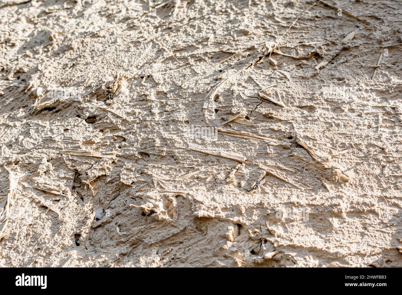 Spanplatten, Spanplatten-Muster, unfertiges grobes Muster von Baustoffen, beige Stockfoto