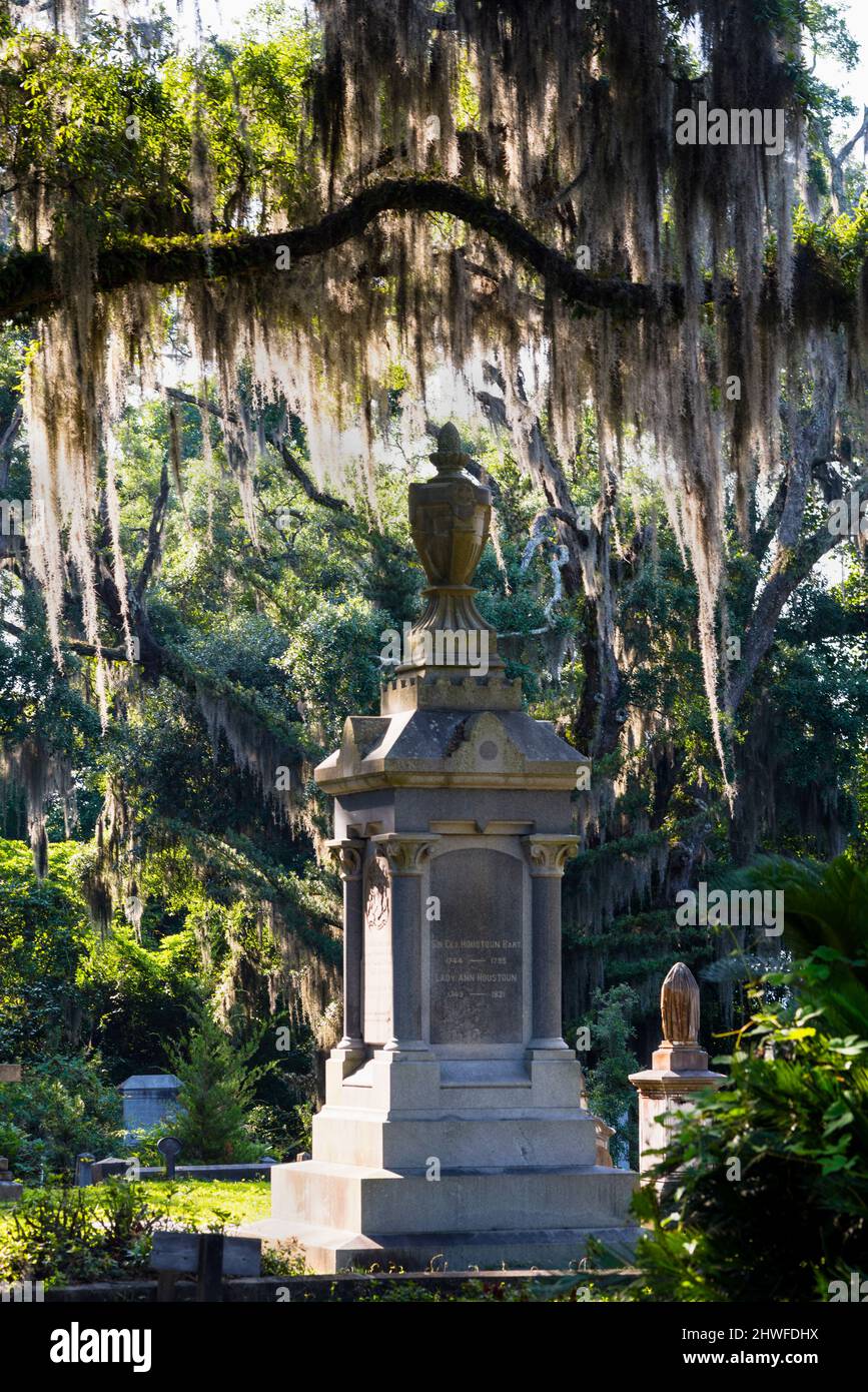 Auf dem rassisch geteilten historischen Laurel Grove Cemetery in Savanah, Georgia, USA, leben Eiche und Grabstein mit Moos drapiert. Stockfoto