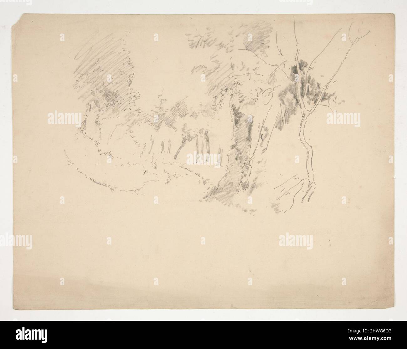 Landschaft mit Bäumen. Künstler: Edwin Austin Abbey, amerikanisch, 1852–1911, M.A. (HON.) 1897 Stockfoto