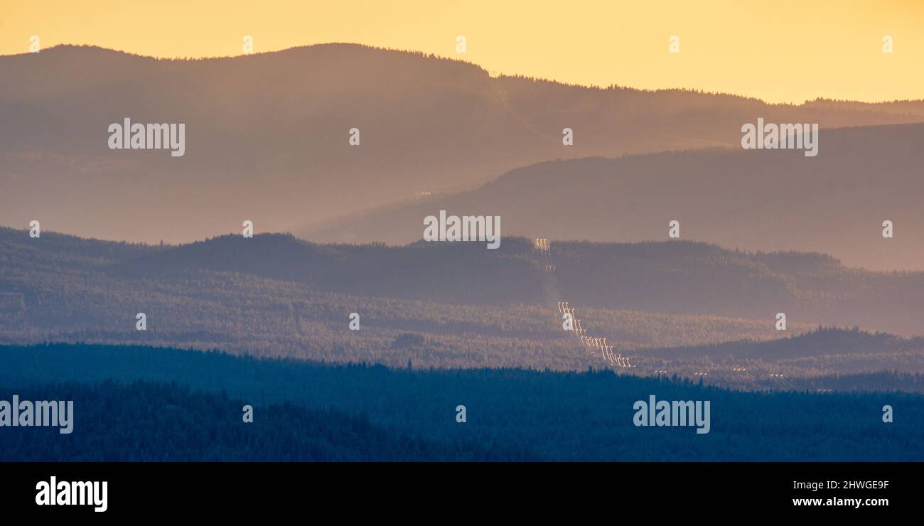 Eine Hochspannungsleitung bahnt sich ihren Weg durch einen Wald Stockfoto