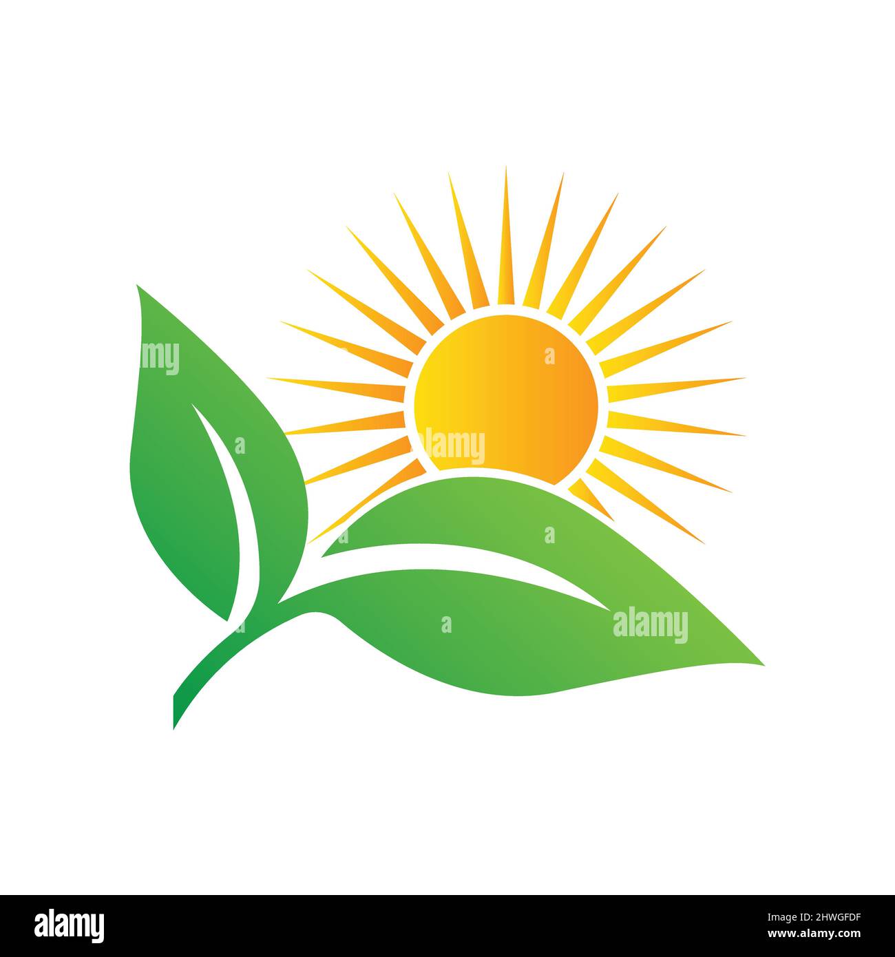 Sun Rise over Leaves Logo Design Vektorvorlage. Eco Sun Logo, Natürliches Logo. Stock Vektor