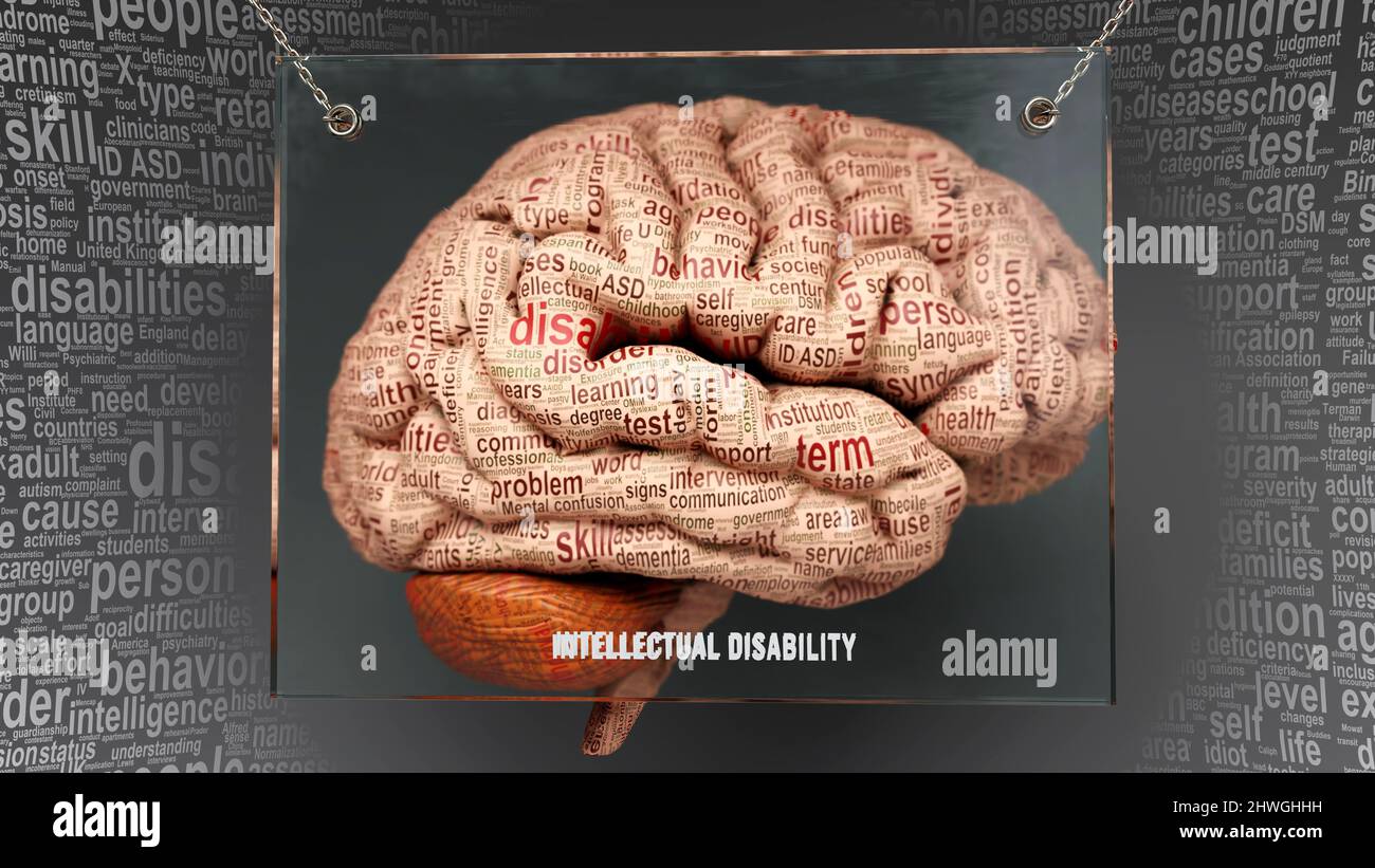 Anatomie der geistigen Behinderung - seine Ursachen und Auswirkungen werden auf ein menschliches Gehirn projiziert und zeigen die Komplexität der geistigen Behinderung und die Beziehung zum Menschen auf Stockfoto