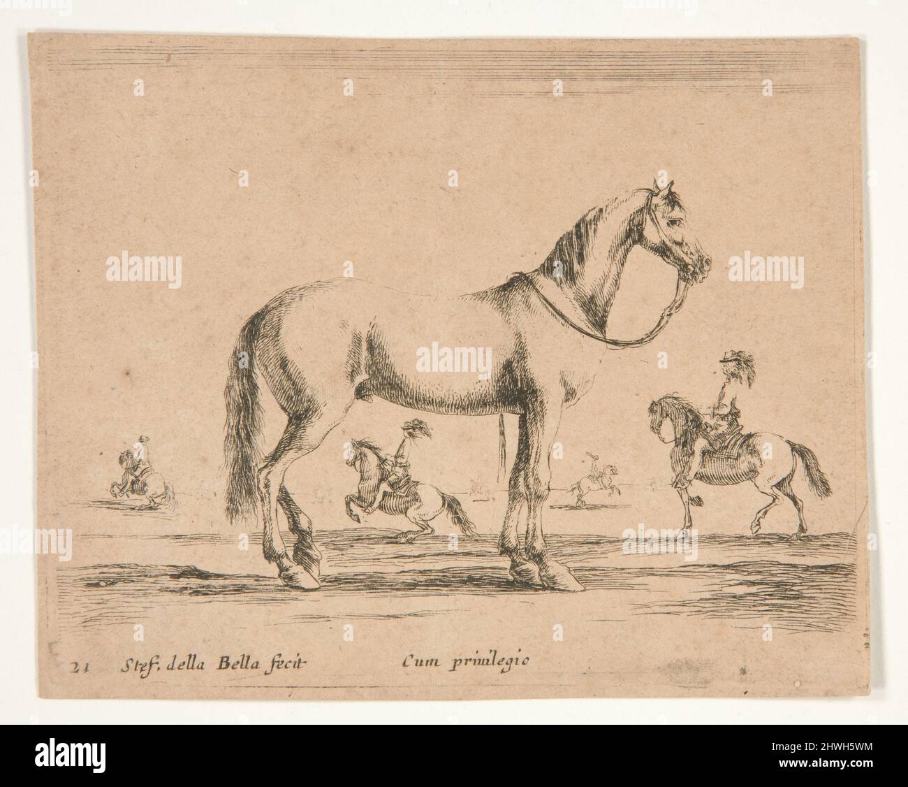 Reiterloses Pferd, mit Reitern, die im Hintergrund Dressur machen. Künstler: Stefano Della Bella, Italienisch, 1610–1664 Stockfoto