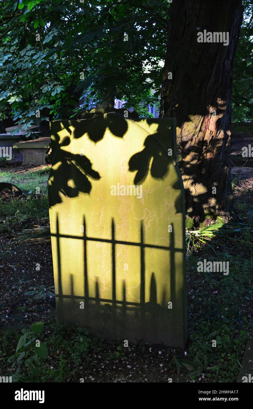 Unheimliches Sonnenlicht und Schatten von Blättern, auf Grabstone, Haworth Parsonage Friedhof, Haworth, West Yorkshire Stockfoto