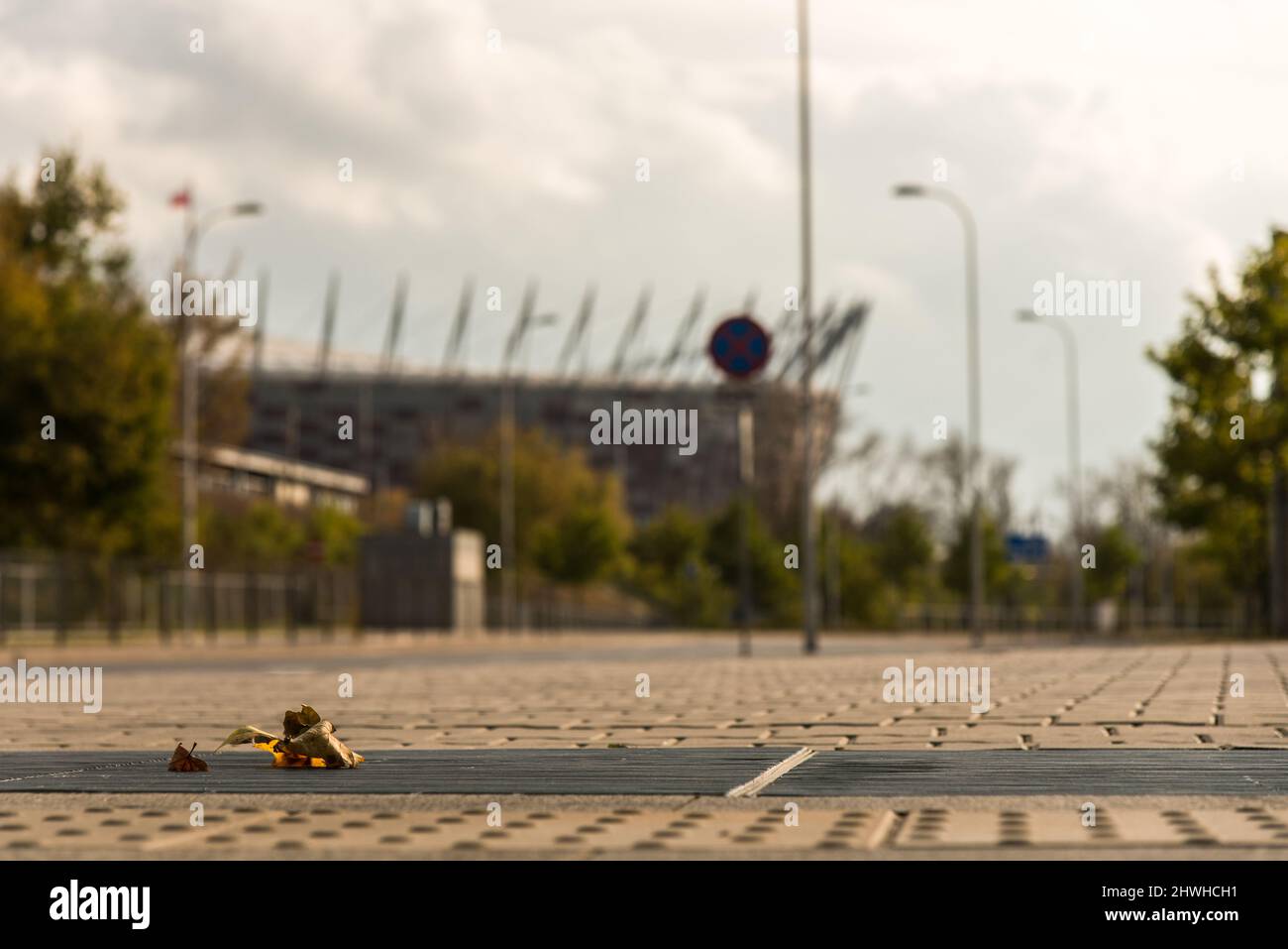Ein einziges gefallenes Blatt in der Stadt Stockfoto