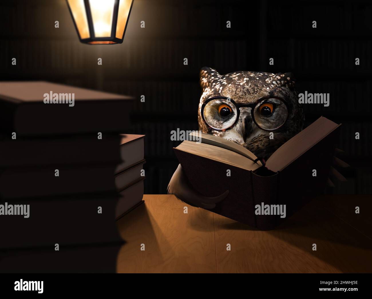 Eule Vogel liest nachts Bücher mit Lampe Licht. Konzeptionelles Thema Bildung. Stockfoto