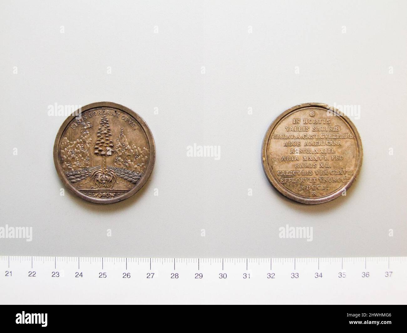 Die Century Plant Medal. Künstler: Unbekannt Stockfoto