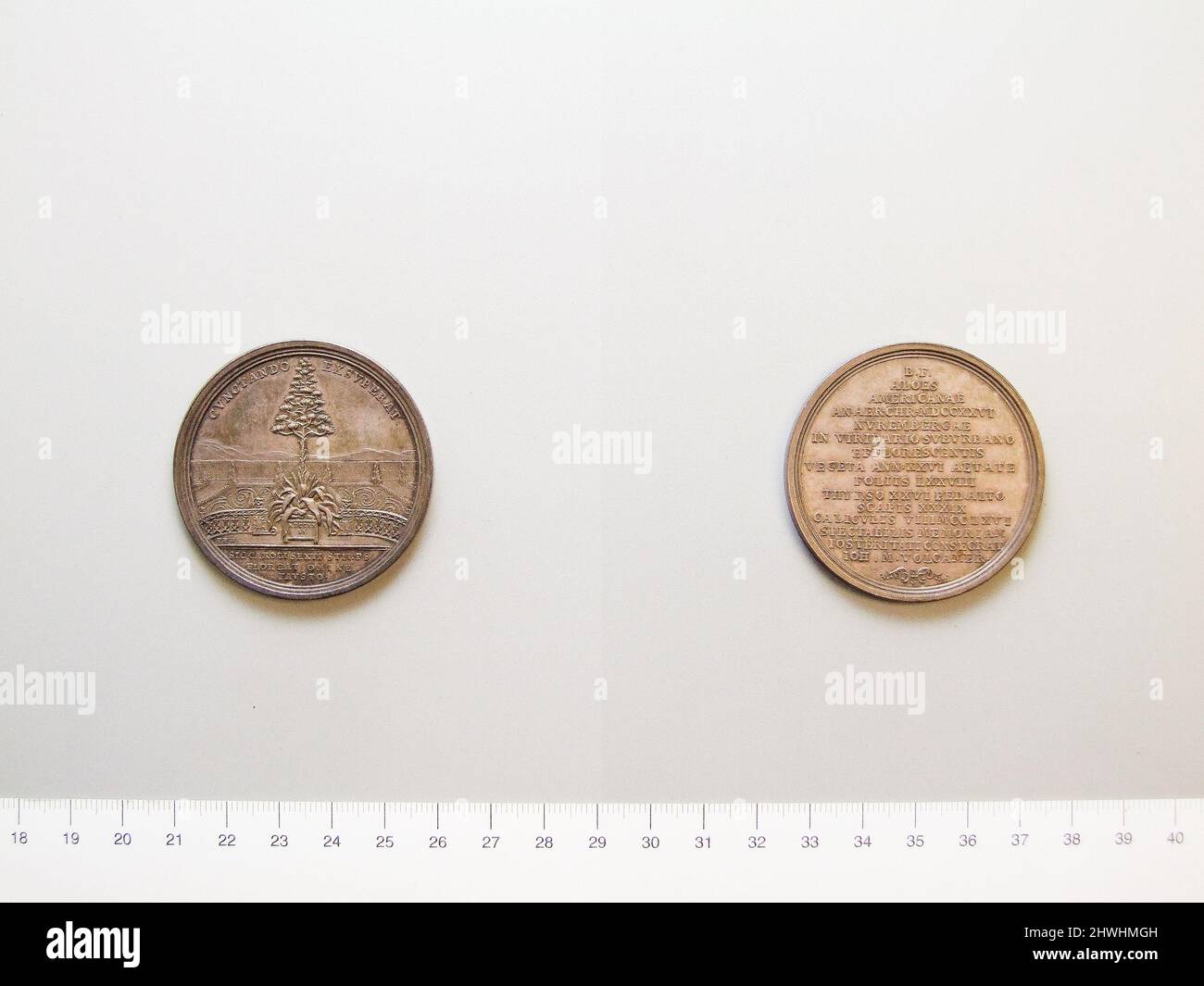 Die Century Plant Medal. Künstler: Peter Paul Werner, Deutsch, 1689–1771 Stockfoto