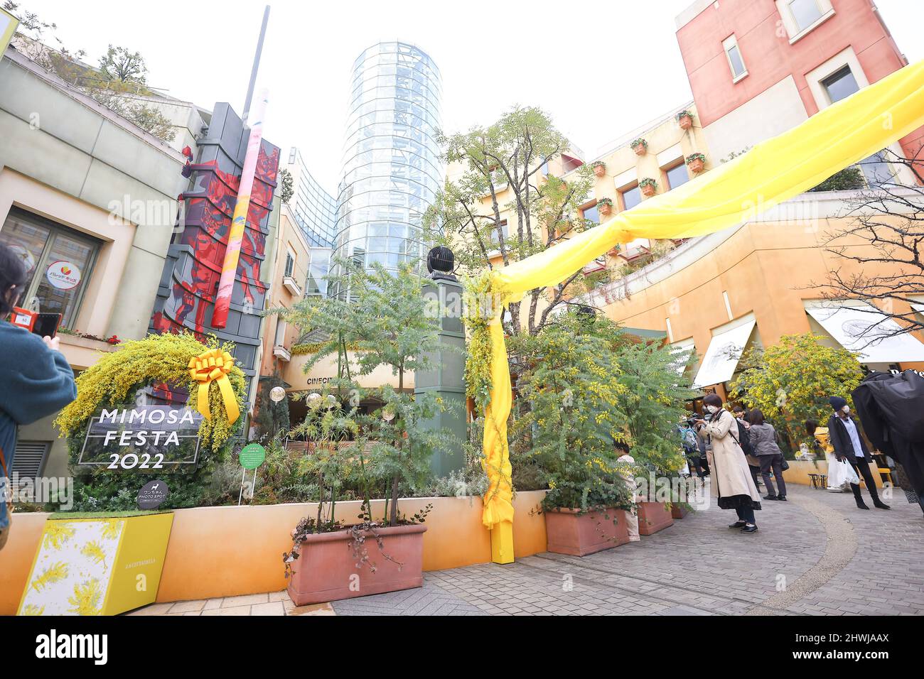 Tokio, Japan. 06. März 2022. Die „MIMOSA FESTA 2022“ wird stattfinden. Die Mimosa Fair fand in der „La Cittadella“ im Bahnhof Kawasaki statt. Die Zeltöffnungen sind von März 5 bis März 6 begrenzt. Die Einrichtung und die Stadt werden vom 15. Februar bis 13. März Gastgeber der Veranstaltung sein. Die ganze Stadt wird Mimosen in Erwartung des Internationalen Frauentags genießen. Am 6. März 2022 in Kanagawa, Japan. (Foto von Kazuki Oishi/Sipa USA) Quelle: SIPA USA/Alamy Live News Stockfoto