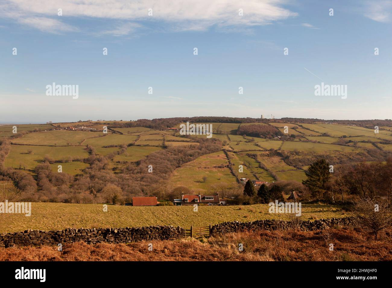 Goathland Countryside im Herzen des North York Moors National Park, Yorkshire, Großbritannien Stockfoto