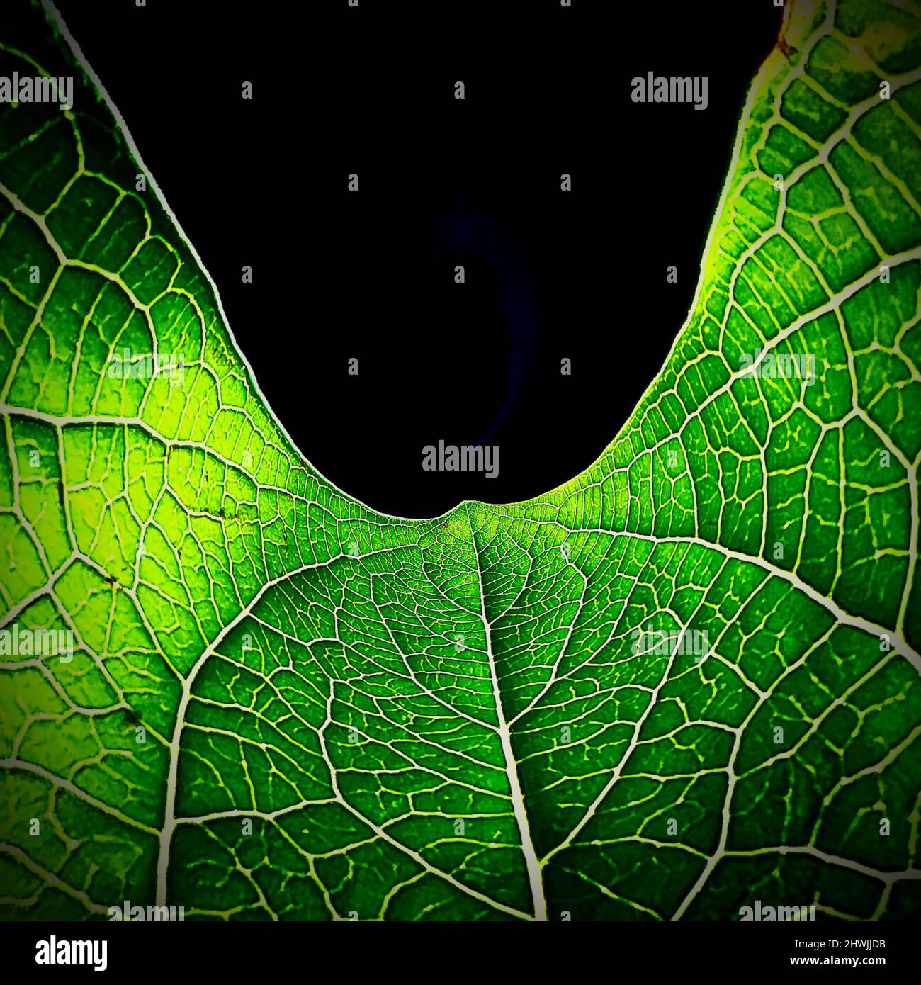 Grüner Planet Stockfoto