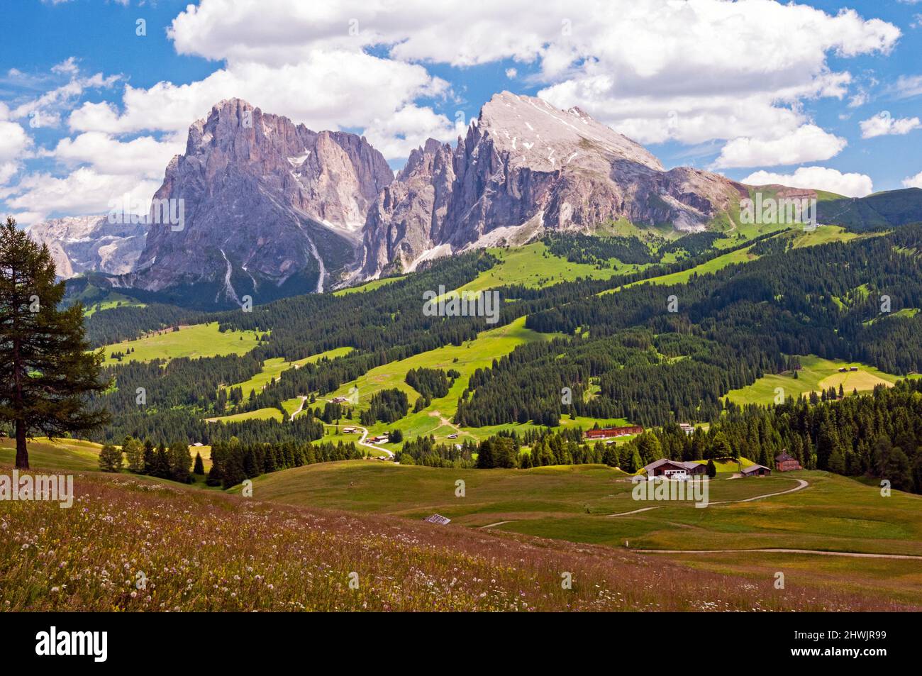 Sasso Lungo und Sasso Piatto, Seiser Alm, Südtirol, Italien Stockfoto
