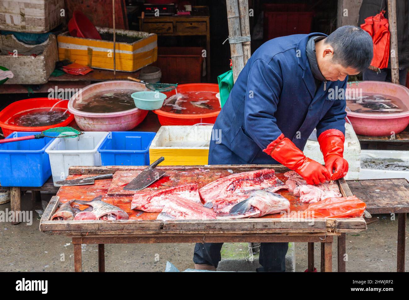 Fischhändler, der Fisch reinigt, zum Verkauf auf einem Markt in Jiashan, China Stockfoto