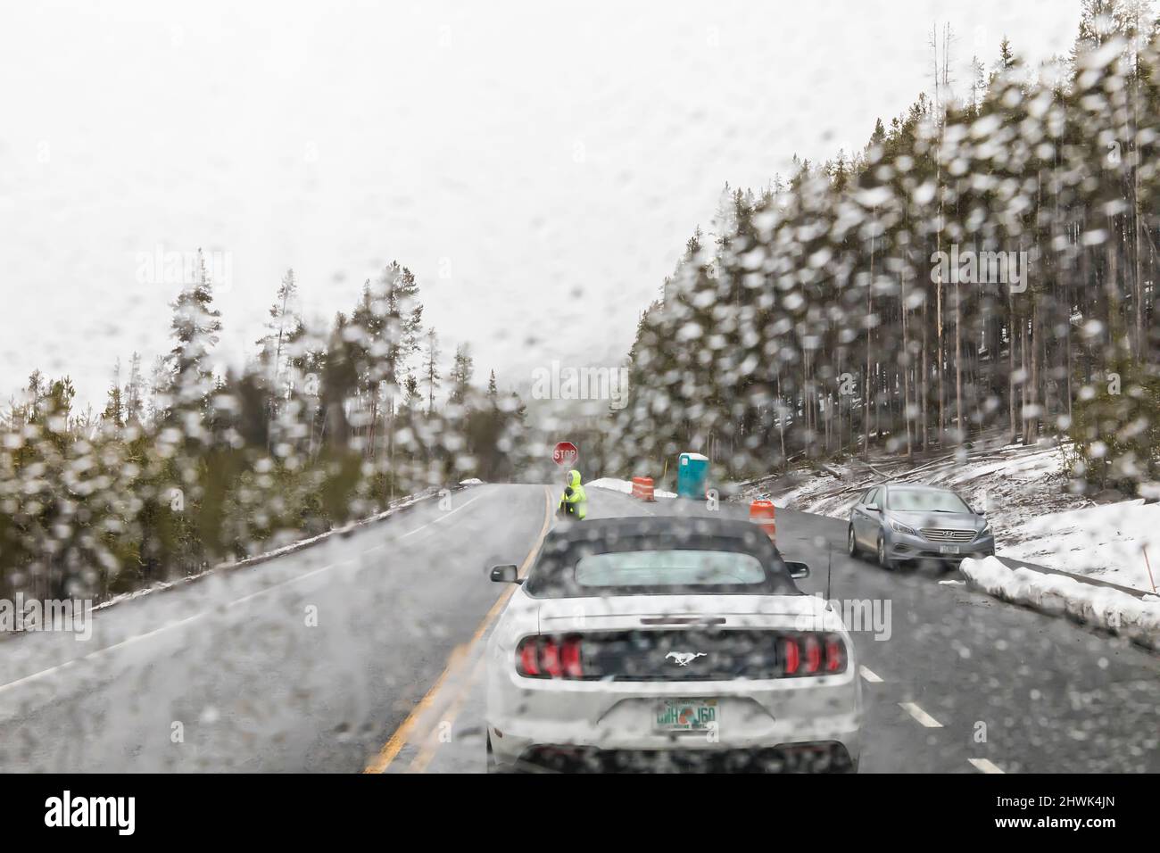 Der Verkehr wurde wegen Bauarbeiten an der Parkstraße im Yellowstone National Park, Wyoming, USA, gestoppt [Keine Eigentumsfreigabe; nur redaktionelle Lizenzierung] Stockfoto