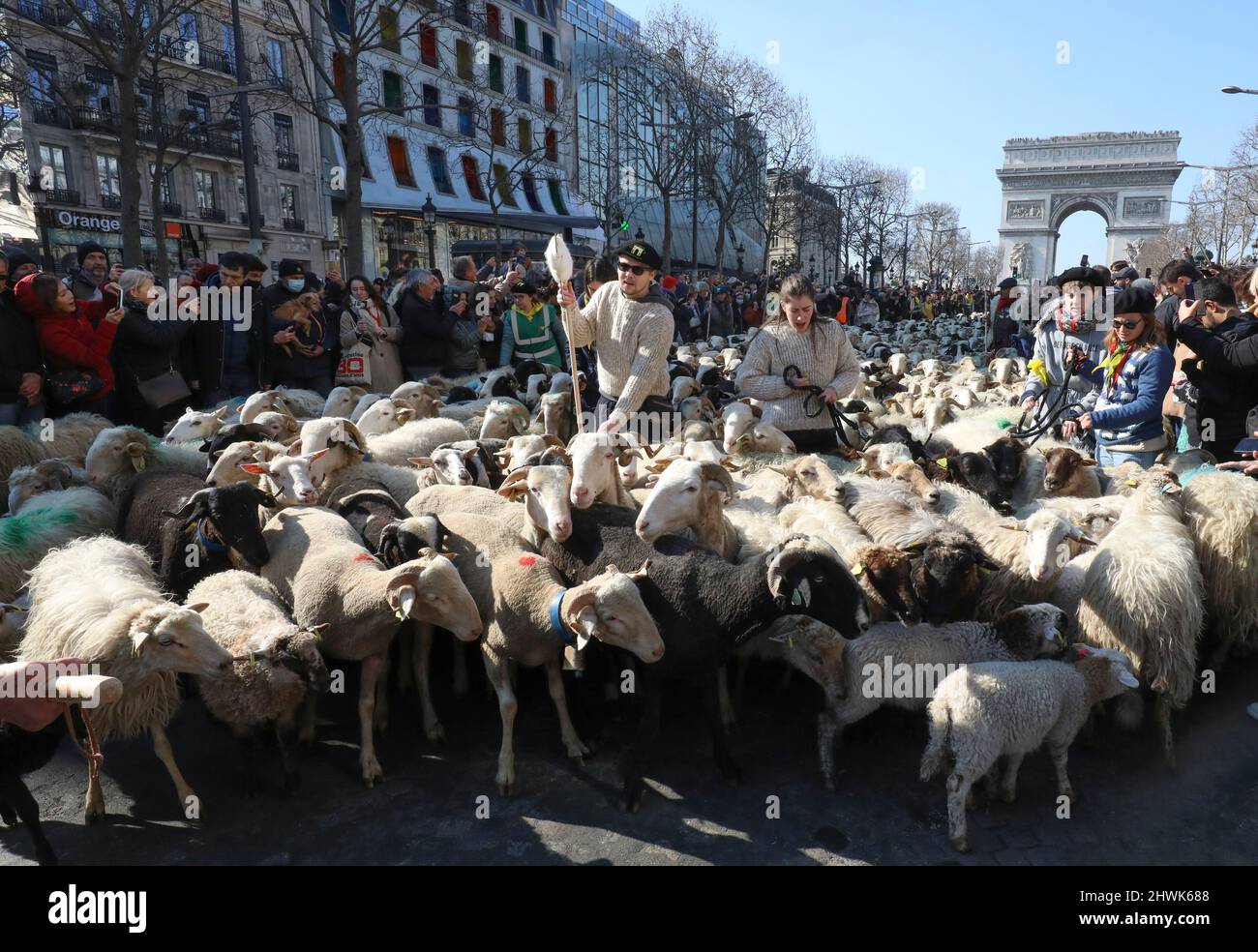 2000 SCHAFE AUF DEN CHAMPS ELYSEES Stockfoto