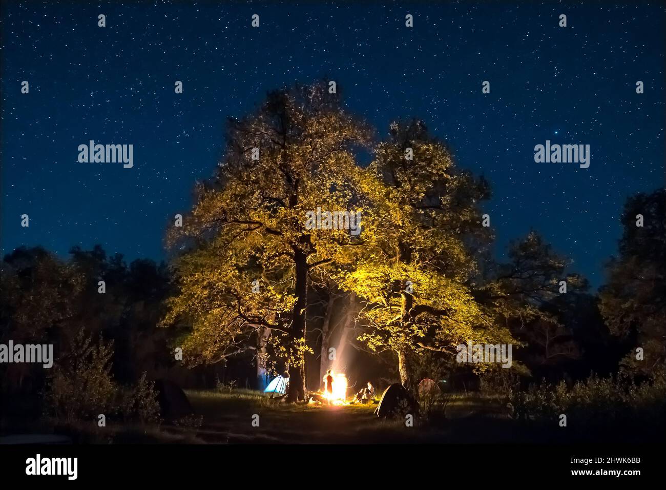Lagerfeuer unter dem großen Baum und Nachthimmel voller Sterne Stockfoto