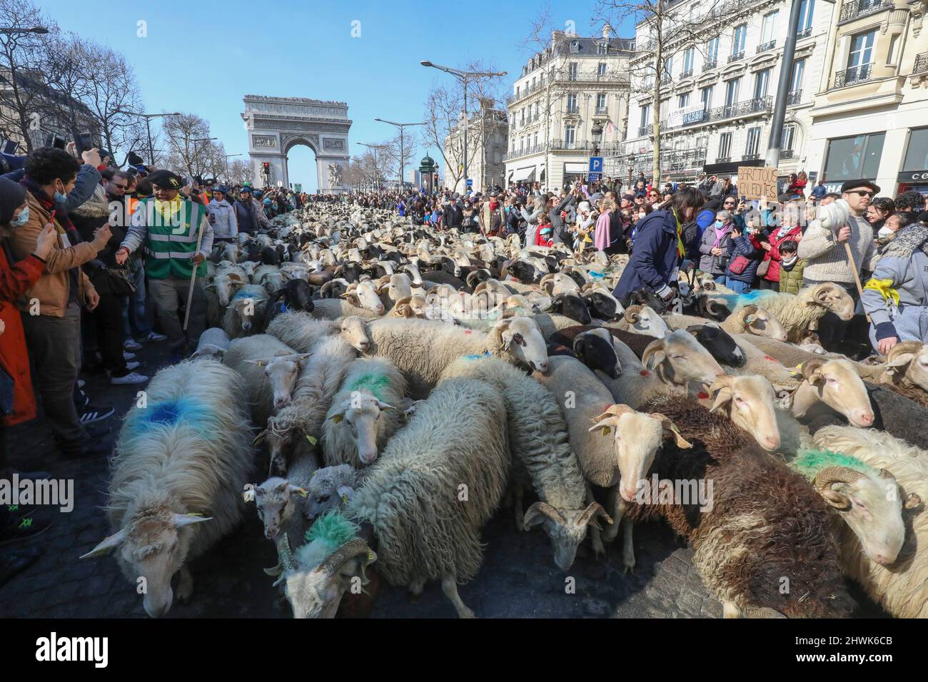 2000 SCHAFE AUF DEN CHAMPS ELYSEES Stockfoto