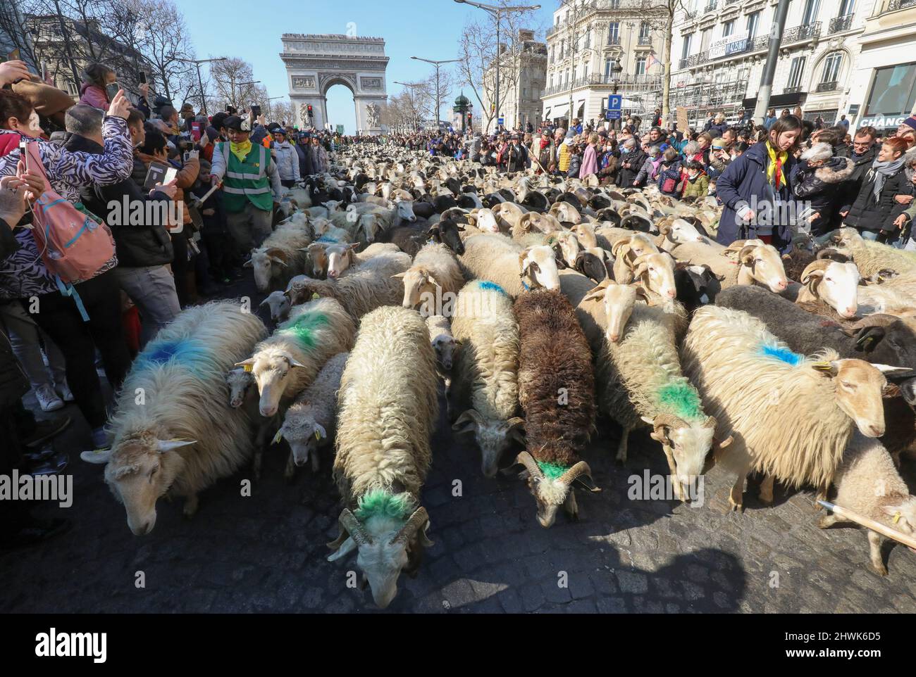 2000 SCHAFE AUF DEN CHAMPS ELYSEES Stockfoto