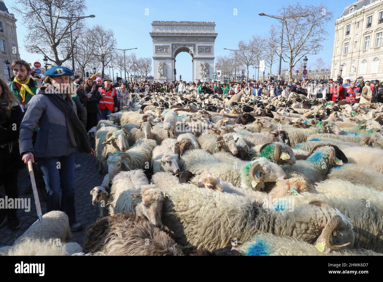 2000 SCHAFE AUF DEN CHAMPS ELYSEES Stockfoto