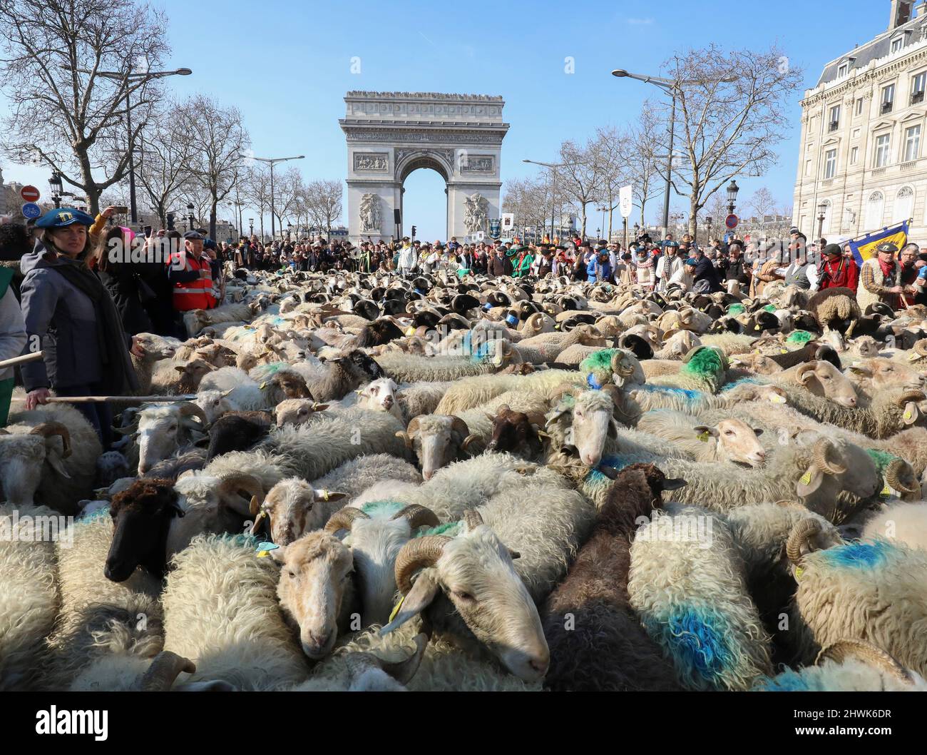 2000 SCHAFE AUF DEN CHAMPS ELYSEES Stockfoto