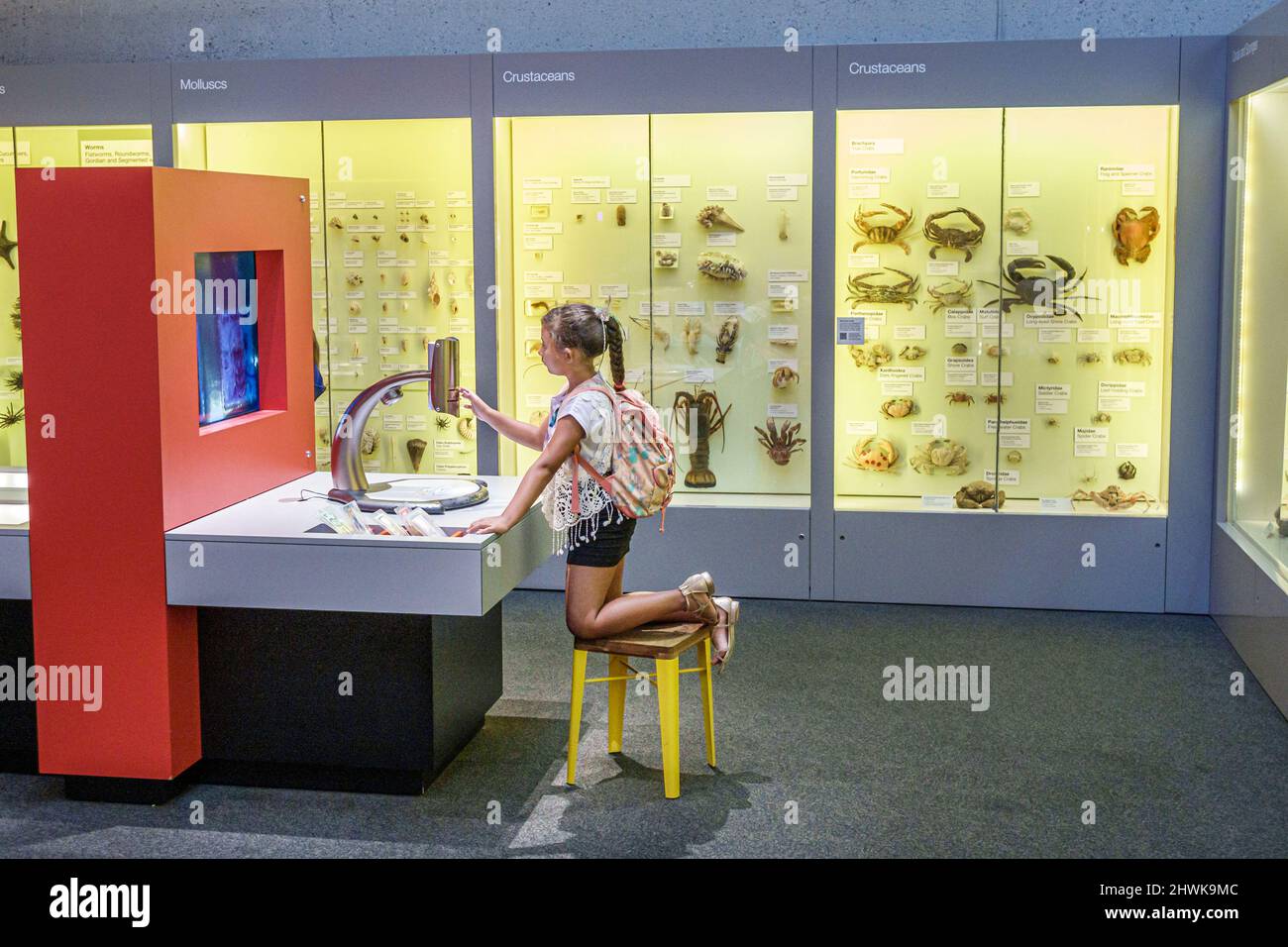 Brisbane Australien, South Brisbane, Kulturzentrum, Queensland Museum & ScienceCenter, Ausstellung Touchscreen, Mädchen Studentinnen praktische Wissenschaft Stockfoto