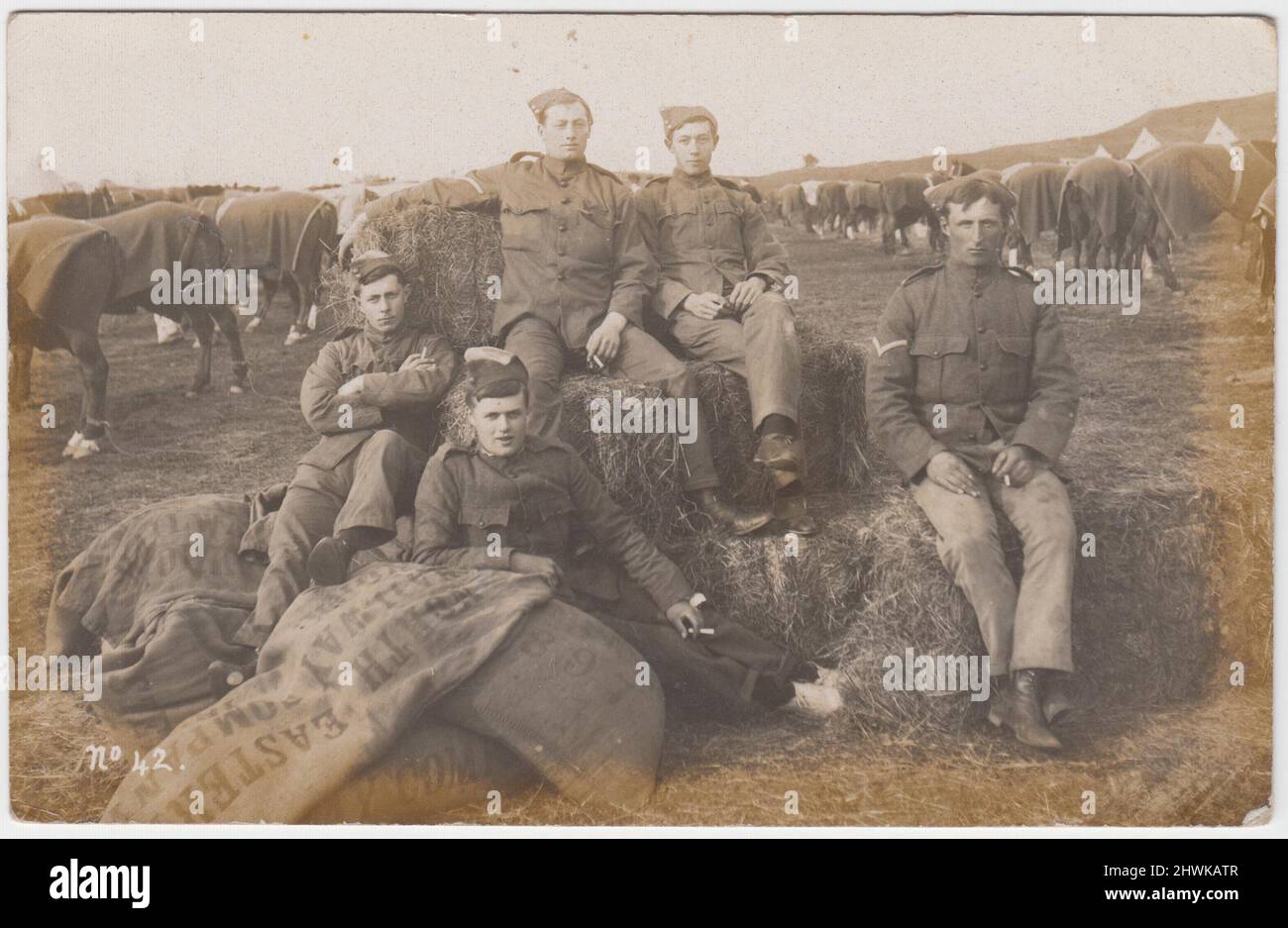 Informelles Foto einer Gruppe von Soldaten der Territorialen Armee, die auf Heuballen in einem Armeelager in der Nähe von Newcastle auf Tyne sitzen, 1906. Im Hintergrund sind auf dem Feld Reihen von Pferden zu sehen, die mit Decken und Glockenzelten bedeckt sind. Im Vordergrund steht ein Stapel Säcke der North Eastern Railway Company Stockfoto