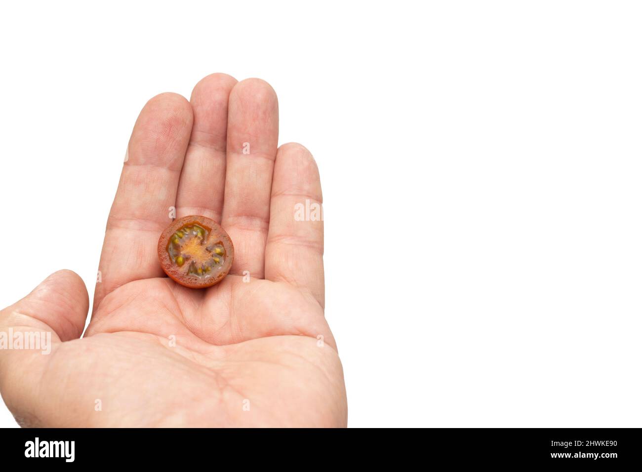 Eine offene Hand mit einer Hälfte einer Kirschtomate, der Sorte Mini Kumato. Isoliert auf weißem Hintergrund. Stockfoto