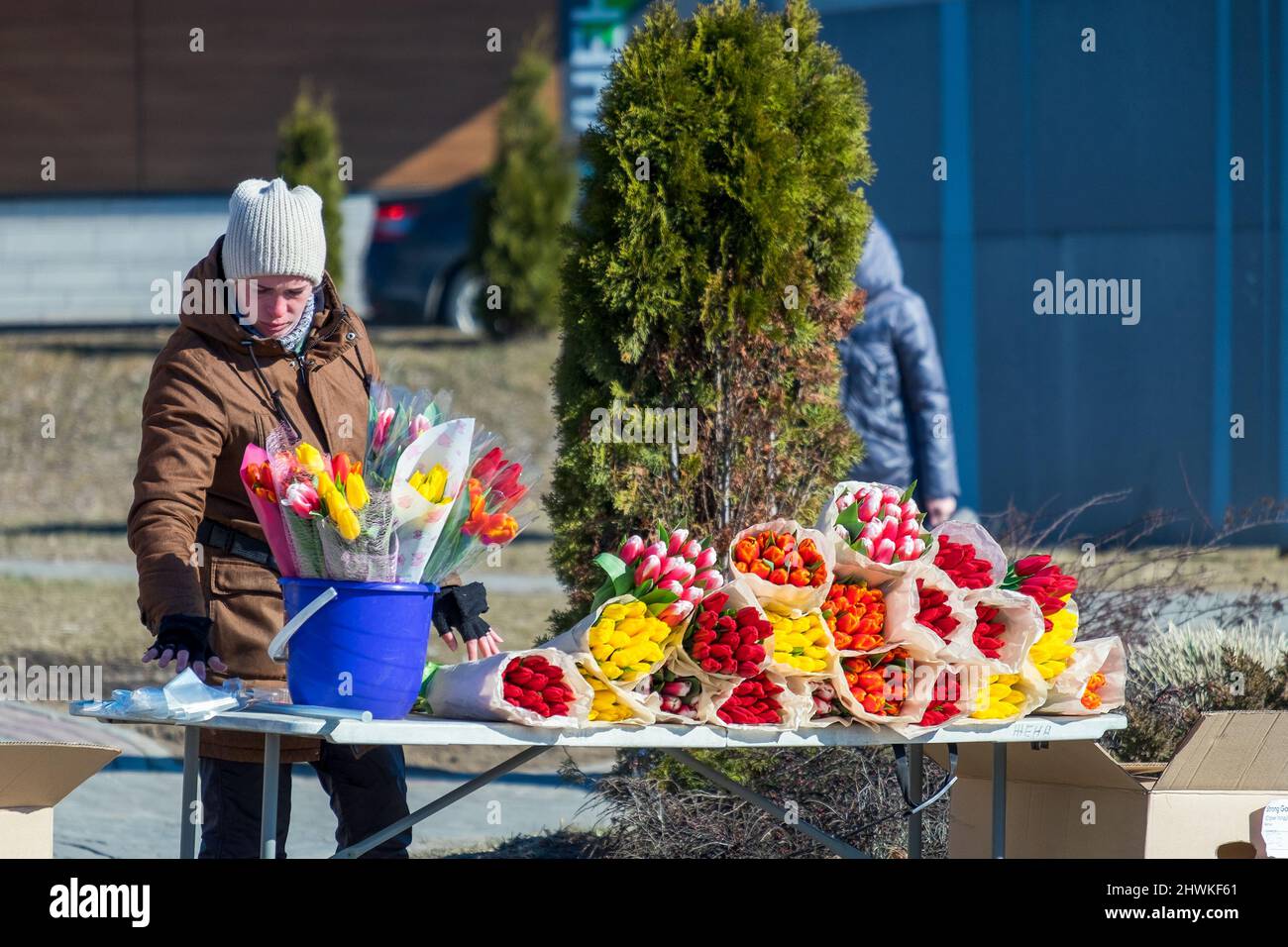MINSK, WEISSRUSSLAND - 05. MÄRZ 2022: Eine Frau verkauft Blumen (Tulpen) auf der Straße. Der Internationale Frauentag ist der 8. März. Stockfoto