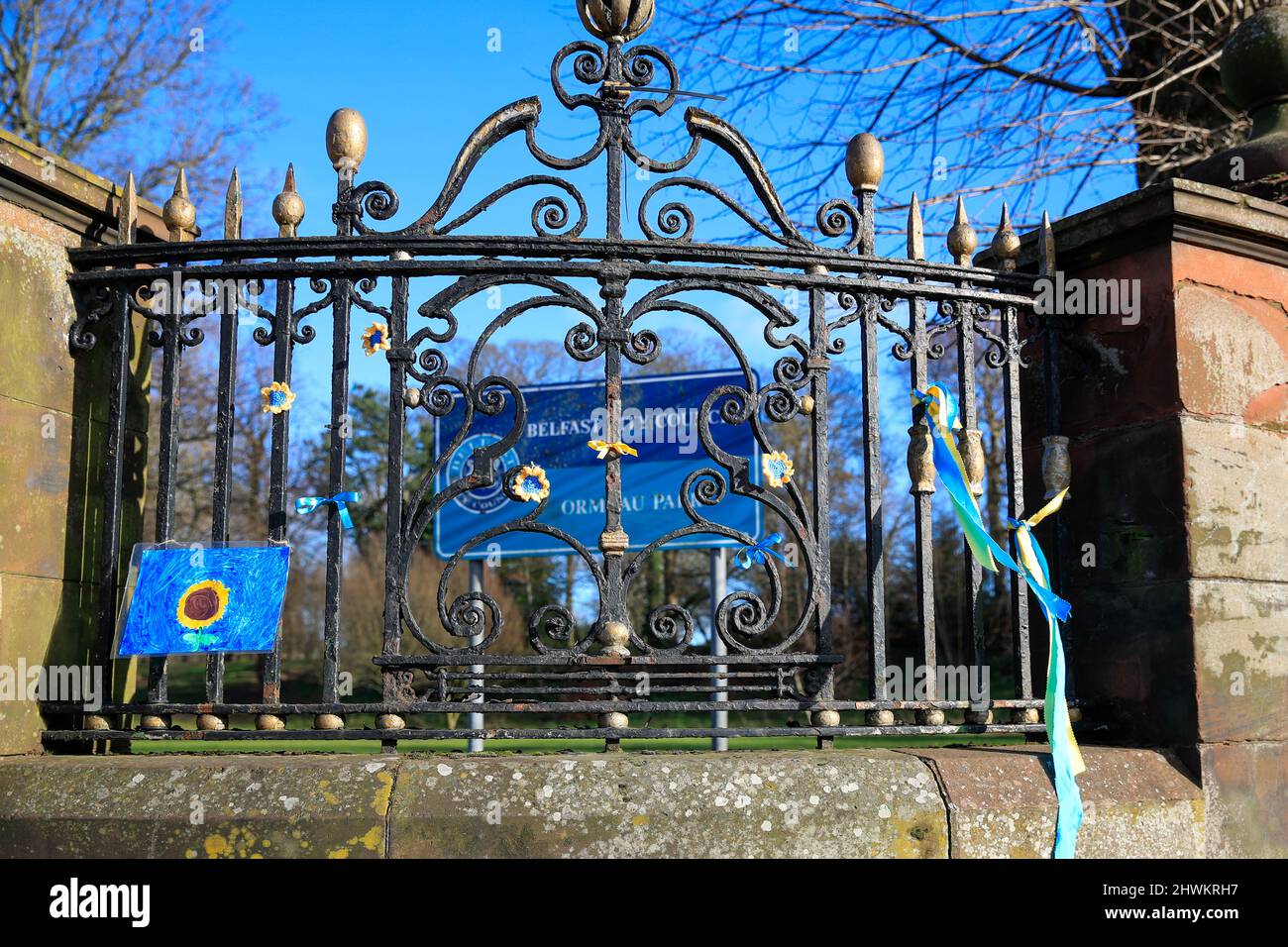 Belfast, Großbritannien. 06. März 2022. 6.. März 2022. Zwei große ukrainische Flaggen wurden zur Unterstützung des ukrainischen Volkes an die Tore des Ormeau Parks in Belfast gebunden. Menschen befestigten blaue und gelbe Ribbons an den Zaun, um Solidarität zu zeigen Kredit: Bonzo/Alamy Live News Stockfoto