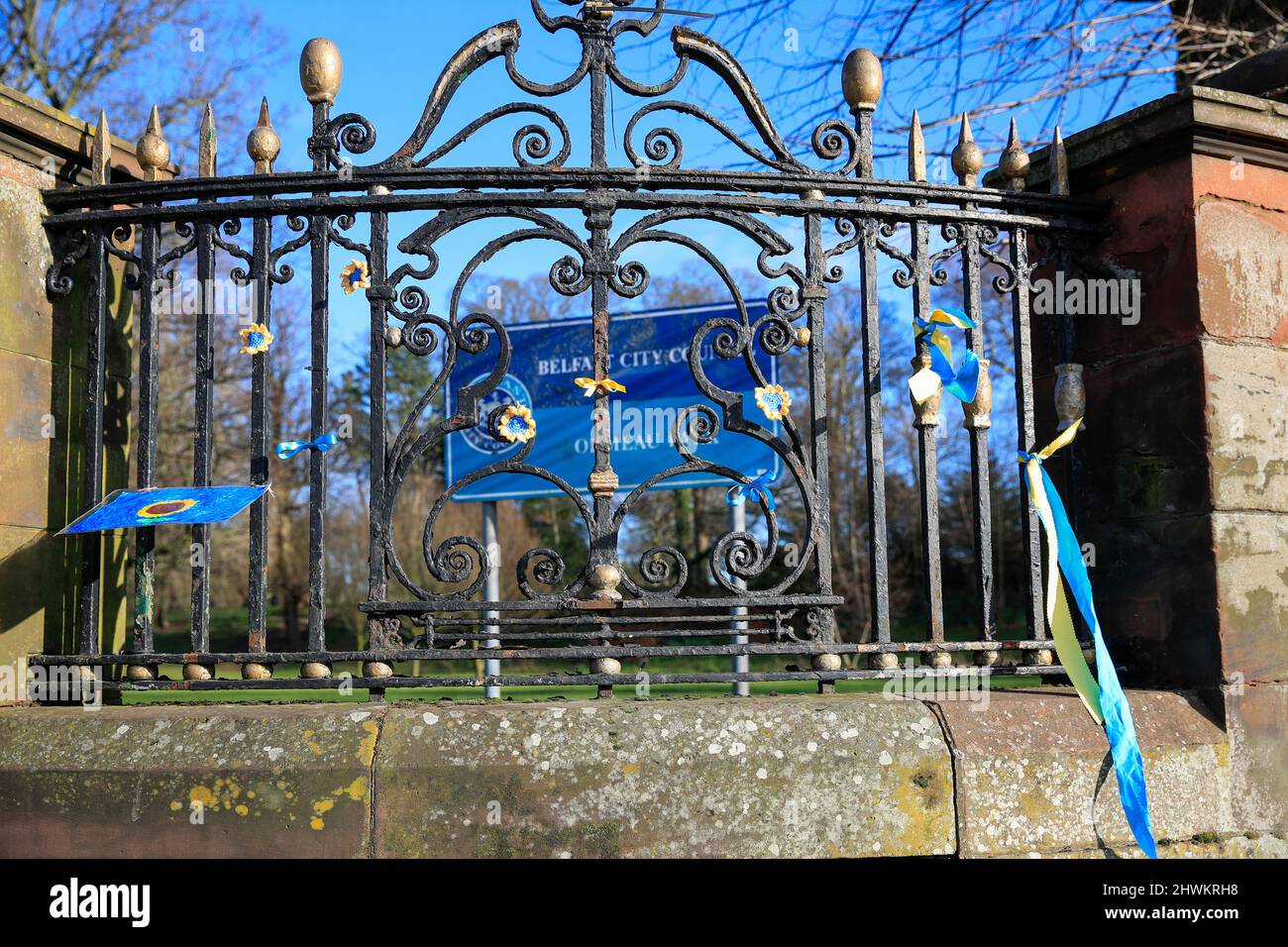 Belfast, Großbritannien. 06. März 2022. 6.. März 2022. Zwei große ukrainische Flaggen wurden zur Unterstützung des ukrainischen Volkes an die Tore des Ormeau Parks in Belfast gebunden. Menschen befestigten blaue und gelbe Ribbons an den Zaun, um Solidarität zu zeigen Kredit: Bonzo/Alamy Live News Stockfoto