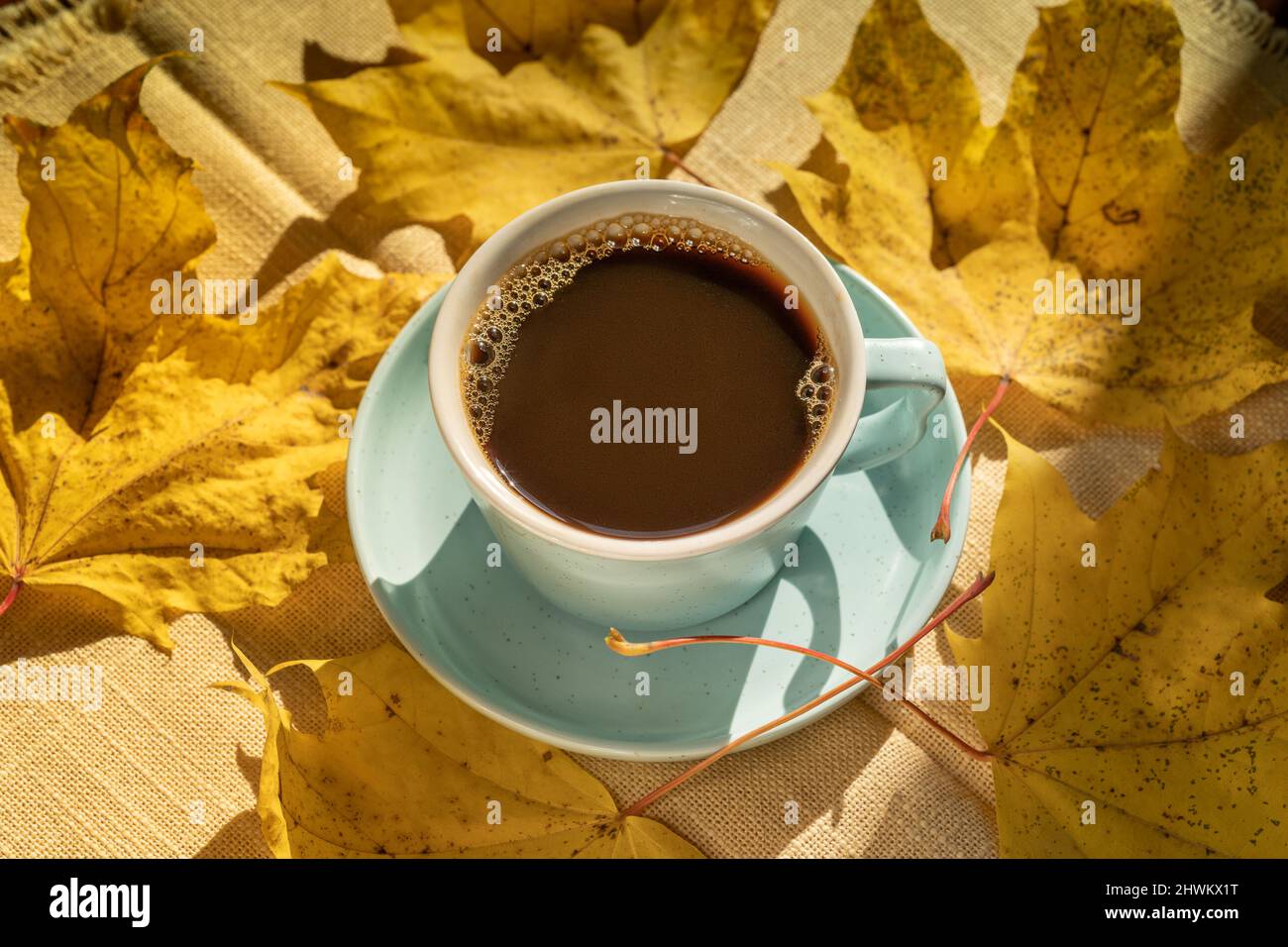 Tasse mit schwarzem Kaffee über Herbst gelbe Blätter Hintergrund, natürliches Licht. Stockfoto