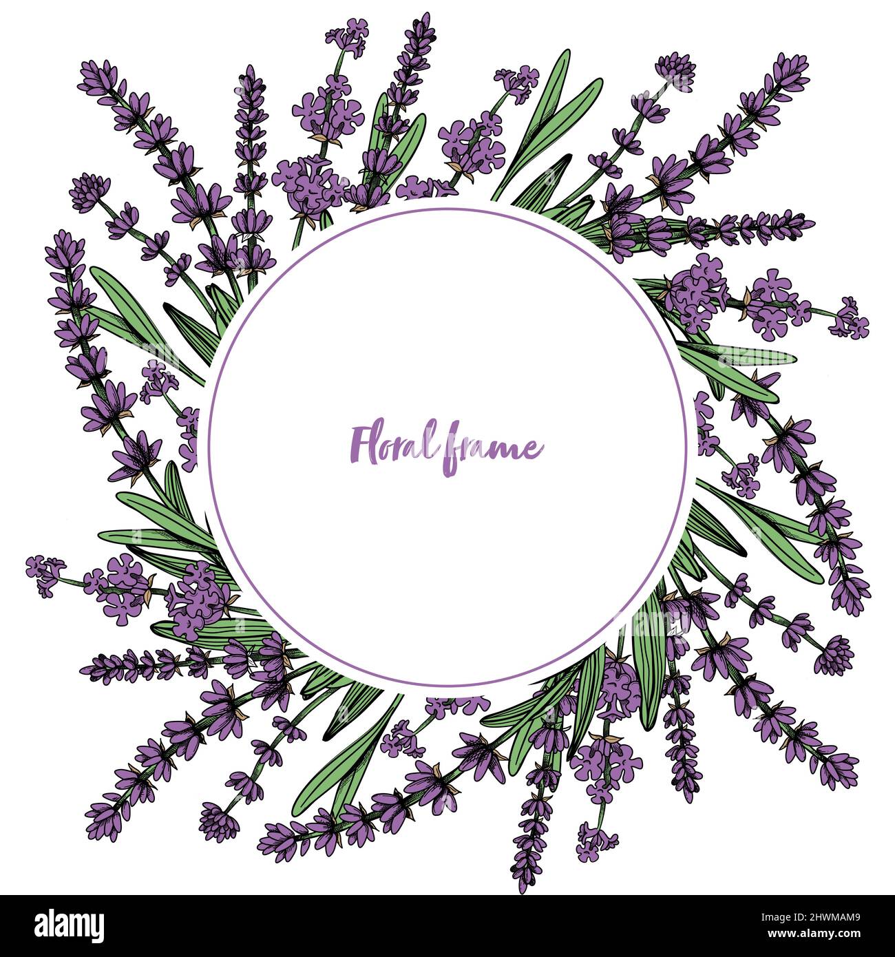 Runder Blumenrahmen mit Lavendelblüten. Handgezeichneter Vintage-Stil. Vektorgrafik, Vorlage, isoliert auf weißem Hintergrund Stock Vektor