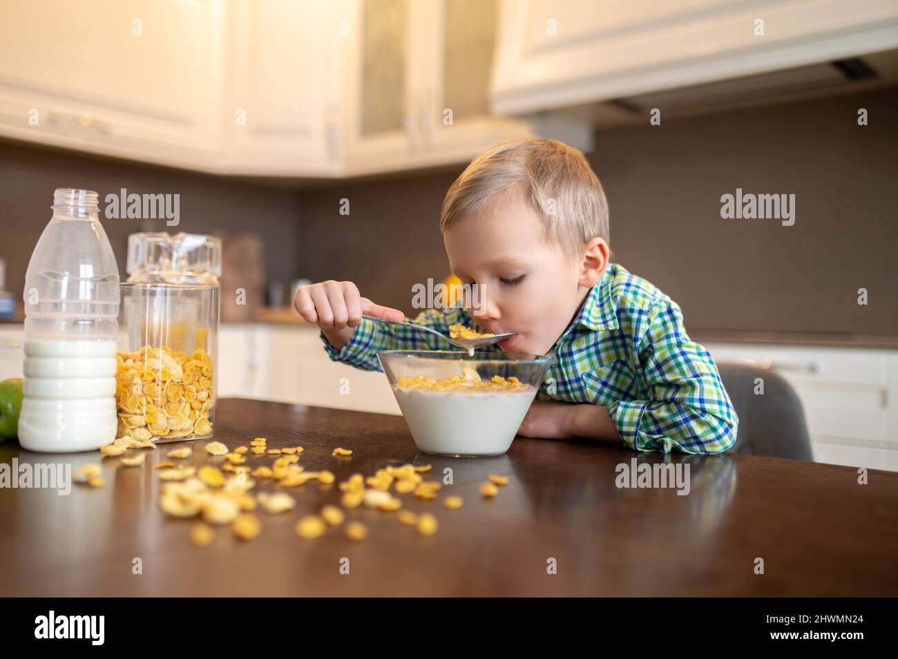 Netter hungriger kleiner kaukasischer Junge beim Frühstück Stockfoto