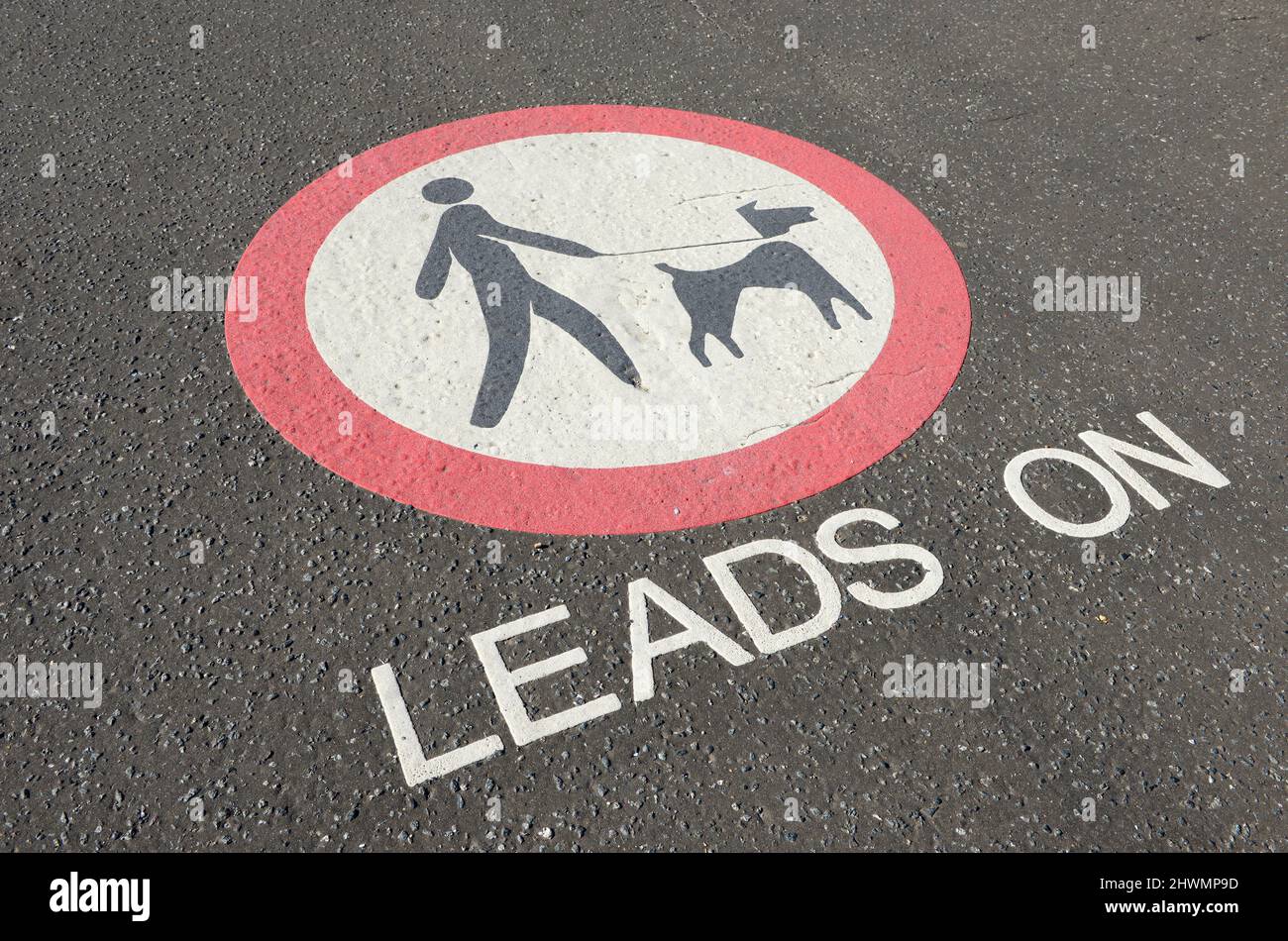 Straßenschild, das Hundespaziergänger anweist, ihre Hunde an der Strandpromenade in Hove, Sussex, Großbritannien, anzuführen Stockfoto