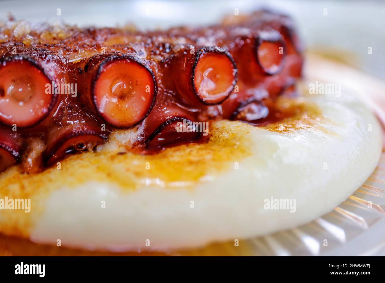 Gegrillter Oktopus auf Kartoffelschaum und Paprikaöl Stockfoto